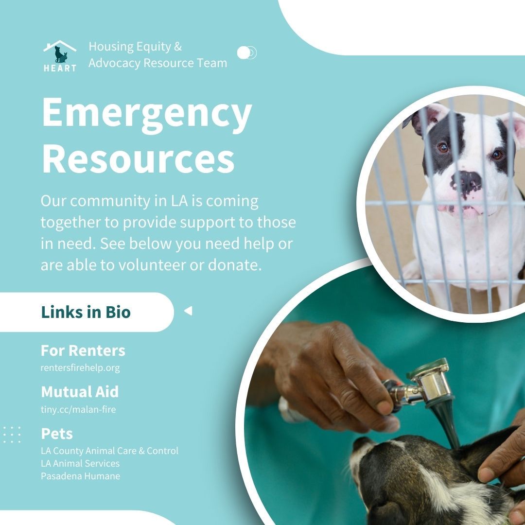 Our hearts are with those who have lost their homes to the devastating wildfires throughout the County. If you are in need of support or are able to volunteer your time or donate, please see the above links and follow local animal shelters that are working hard to save those that have been impacted.