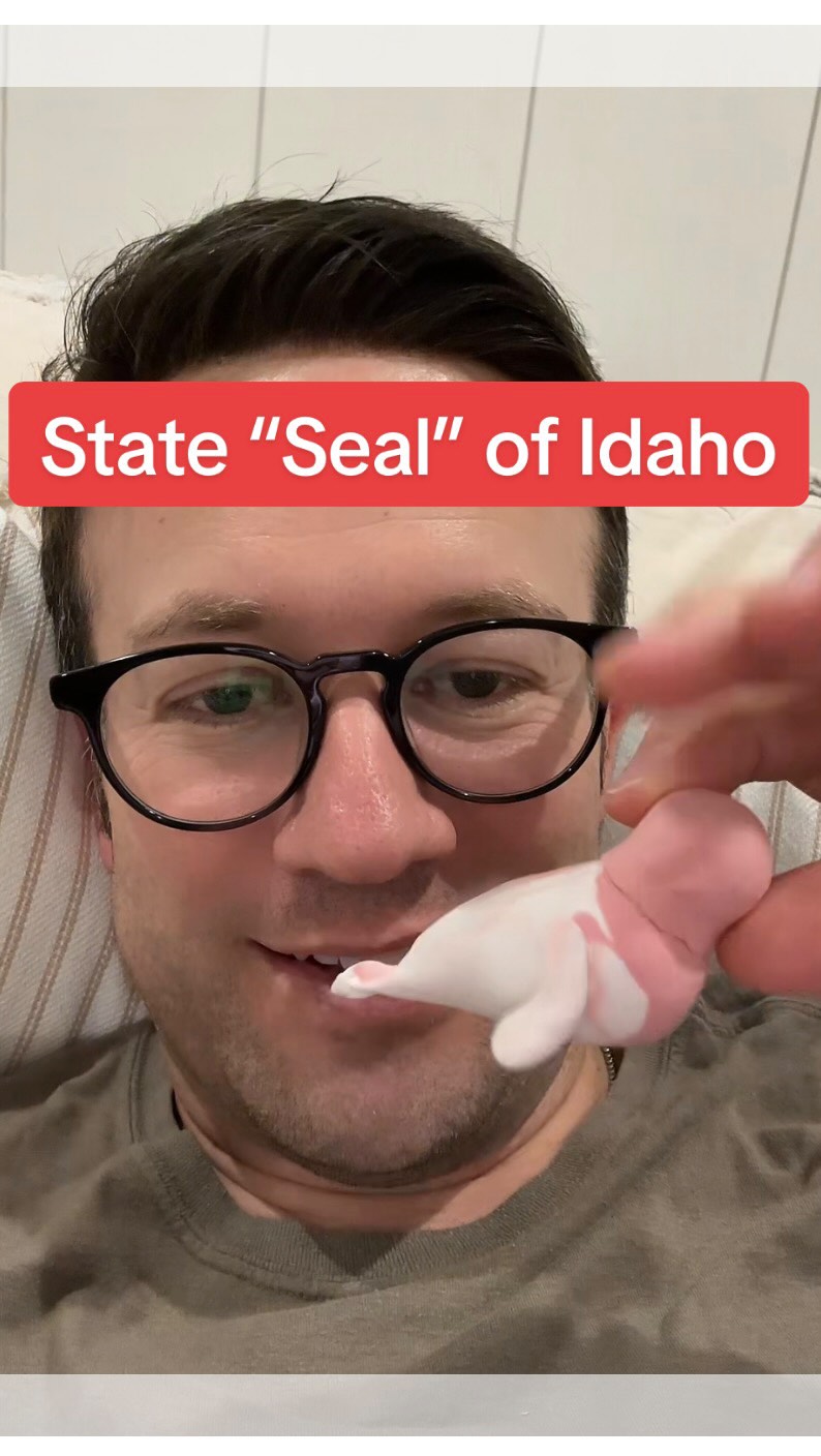 My fifth grader had homework about the Idaho State flag.
It said:
âThe state seal is on the flag.â
So naturallyâŠshe read that as:
âThere is a SEAL on the flag.â đŠ
Fast forward to her proudly showing me an air-dry clay masterpieceâŠof an actual seal. Like the animal. Flippers. Tail. The whole thing.
And I just stood there trying not to laugh because it was the most confident, committed misunderstanding Iâve ever seen.
Kids will say (and build) the funniest things. đ
But honestly? The creativity. The effort. The pure belief she was 100% right.
Iâll take that energy all day.
#DeckedOutDad #FifthGradeLife #DadLife #ParentingHumor #KidsSayTheDarndestThings