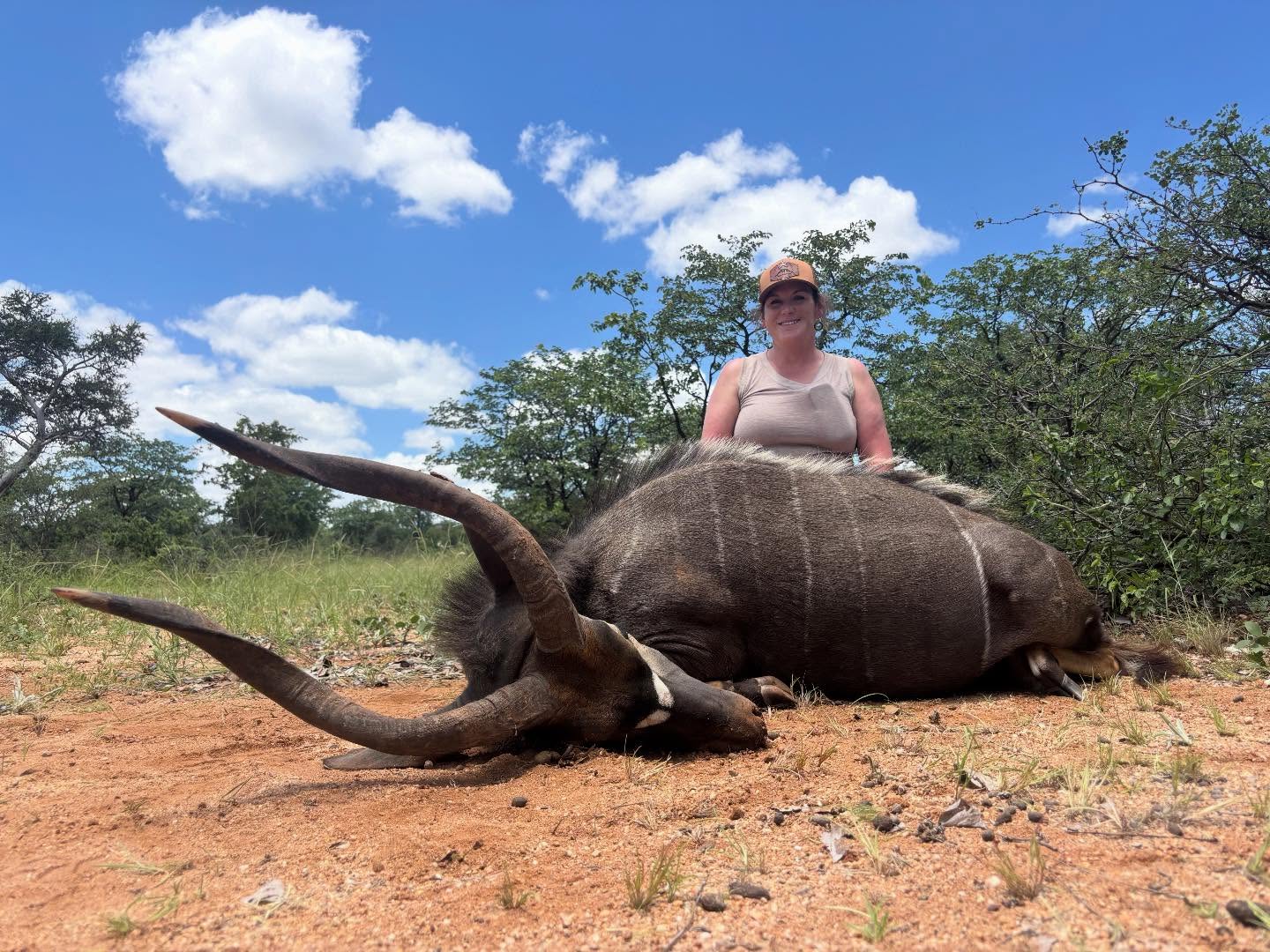 Old Nyala bull in the salt! #hunt #africa