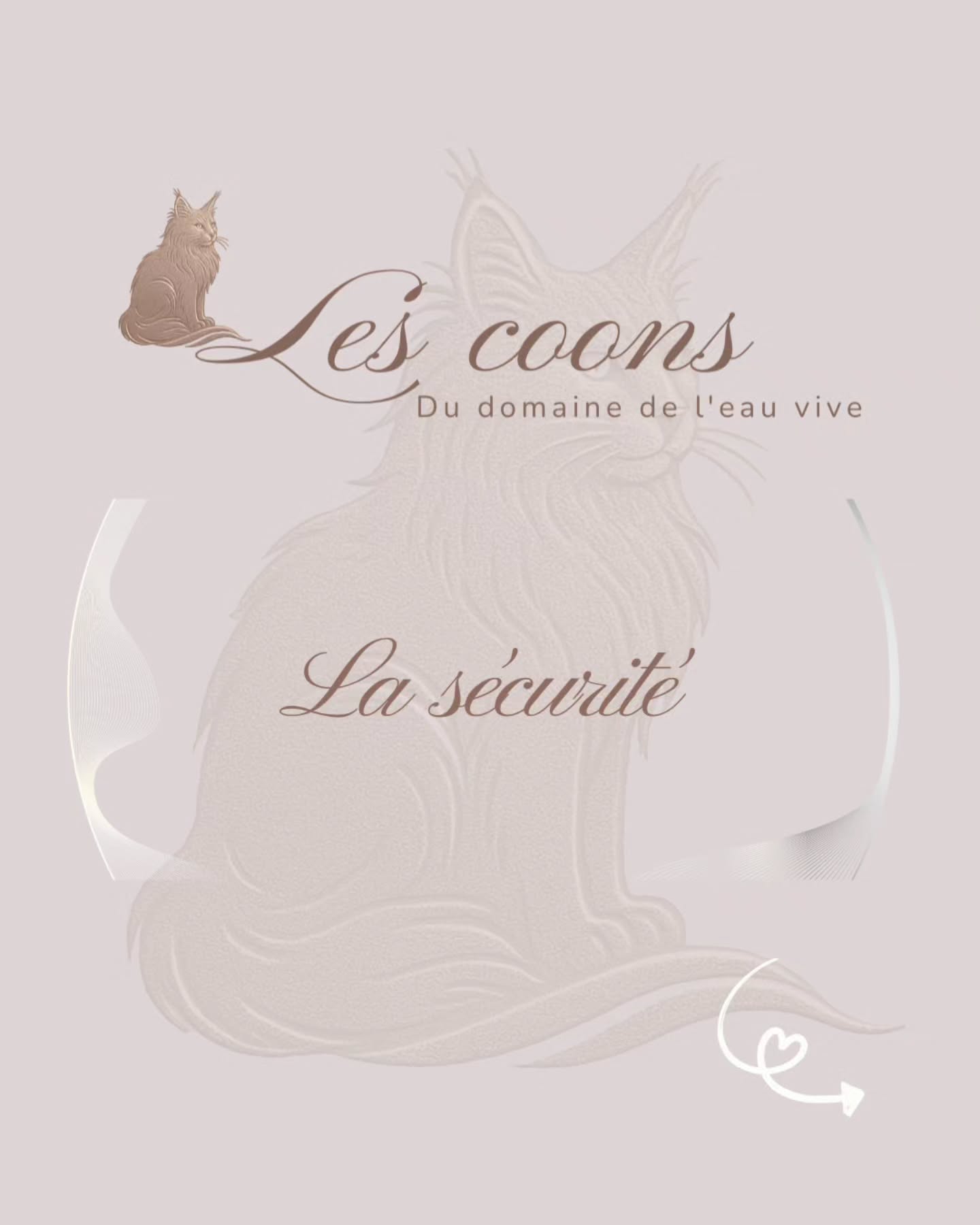 Fenêtres en imposte, sorties, vols…
⚠️ La sécurité du Maine Coon ne doit pas être prise à la légère
✅️ Identification par puce et vigilance au quotidien sont essentielles pour le protéger.
😻 Tous les Maine Coons de notre élevage sont pucés, aucune démarche n’est nécessaire de ta part.
Carine Zimmermann
Affiliée au Cat Club Romand
Domaine de l’eau vive
1724 Bonnefontaine
+41 79 281 93 88
#securitechat #mainecoon #chatmaison #protectionanimale