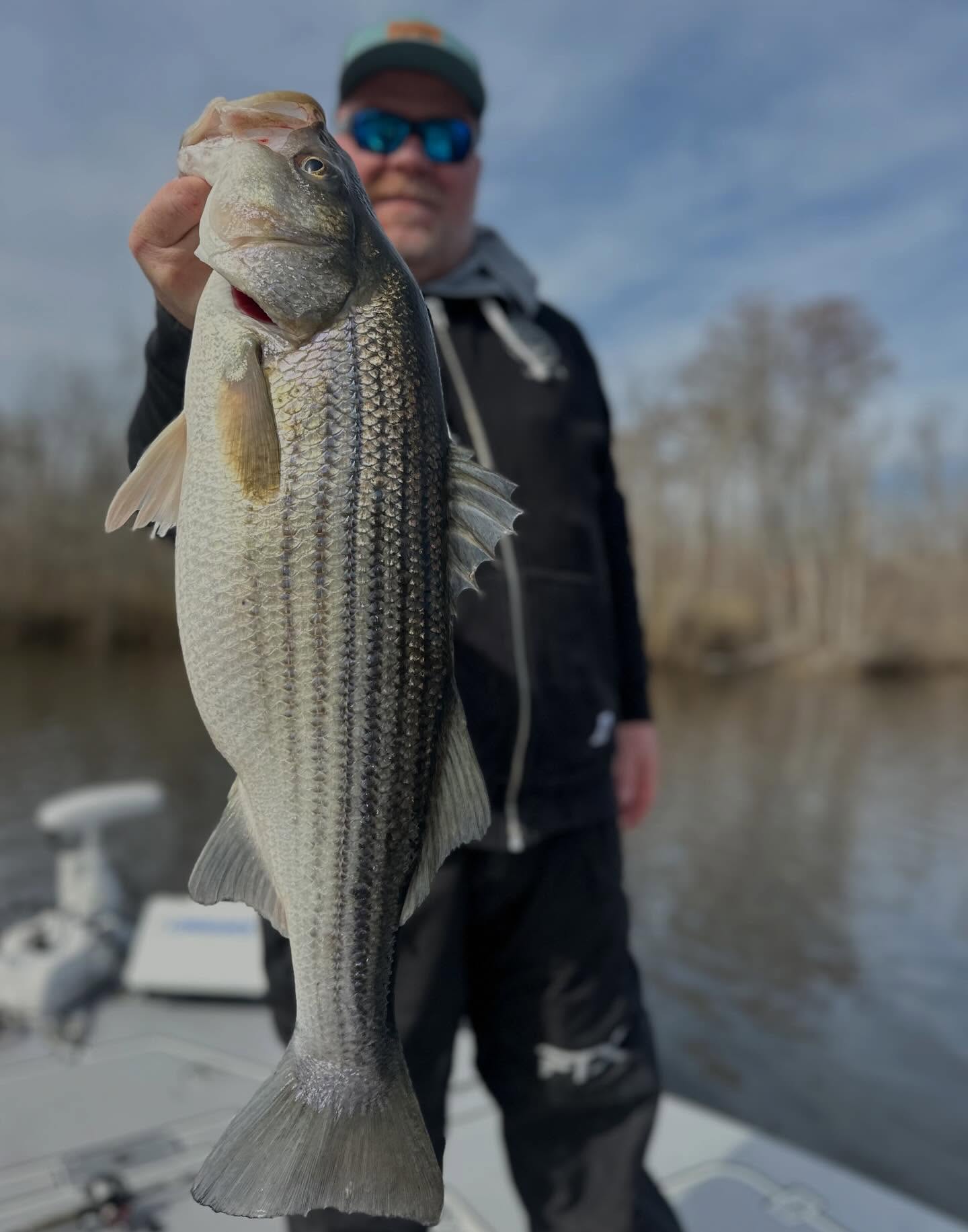 My thumb is still bleeding, that’s how many we caught today. Neal it was a blast and looking forward to our next trip. Enjoyed it man! #striper #striperfishing #winterfishing #cabinfever #bookatrip