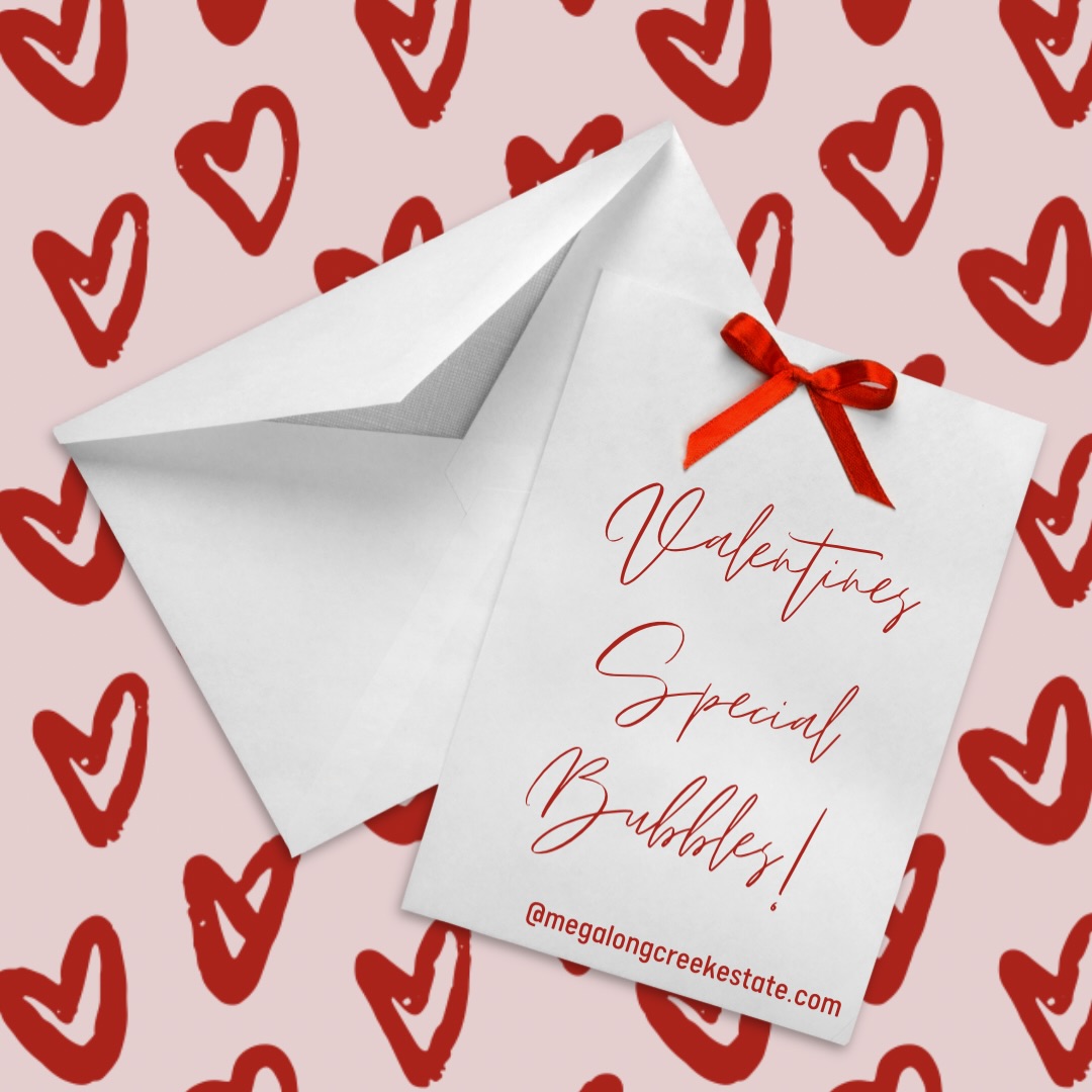 Valentines @ MCE💕 send us a message if you would like to book in for our champagne and charcuterie special! A bottle of Prozzante and a graze box for 2 for $50!!!! #whattodoonvalentinesday #megalongvalley #bluemountainswine