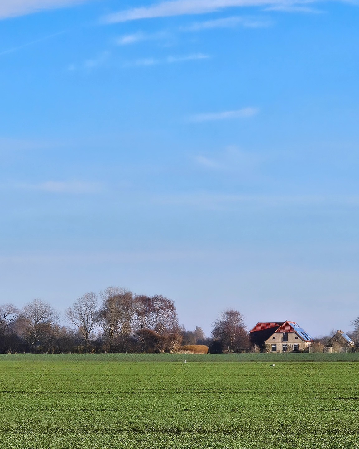 Das Haus im Felde vom Meer aus gesehen, zeigt, womit Fehmarn im Winter besticht: blauer Himmel, herrliche Weiten, viel Ruhe und wenig Menschen. Wunderbar, um aufzutanken und neue Kräfte fürs kommende Jahr zu schöpfen.
Our 'Haus im Felde' (house inmidst the fields) seen from the waterfront. It represents what the island Fehmarn has to offer in wintertime: blue sky, magnificent wideness, calmness and not much people. It's perfect to recover and to get new energy for the upcoming year.
#hausimfelde
#Fehmarn
#Albertsdorf
#ostseeferien
#Ostsee
#Ferienwohnung
#ferienappartment
#urlaubammeer
#Ruhe
#blauerhimmel
#spaziergangammeer
#winterammeer
#ostseeliebe
#sonneninselfehmsrn
#holidayappartements
#islandinthesun
#balticsea
#coastline
#winterwalk
#schleswigholstein