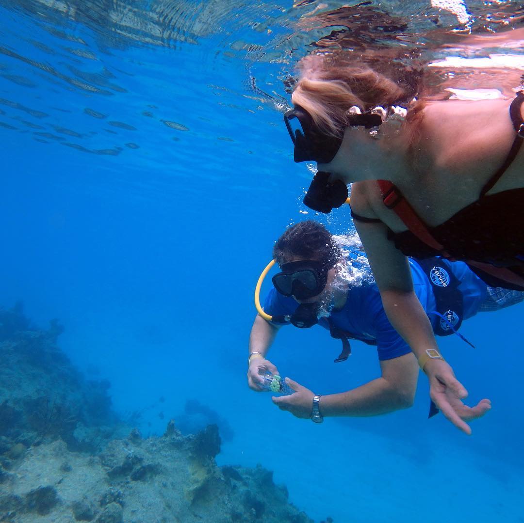 SNUBA at Trunk Bay.
*
*
*
#familygoals #caribbean #cruise #familyfun #GoBeyond #snorkeling #snuba
