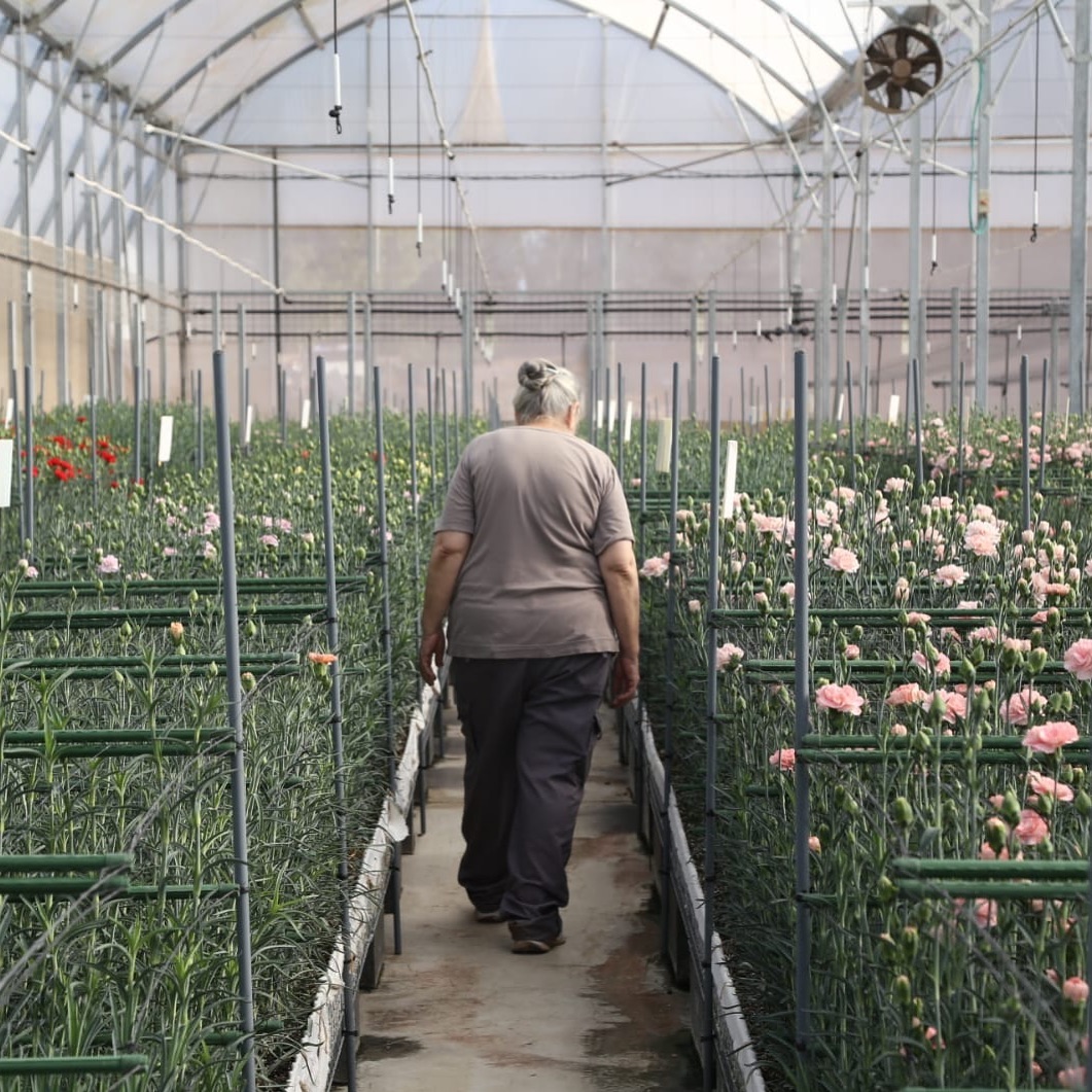 Michal came to visit our standard collection