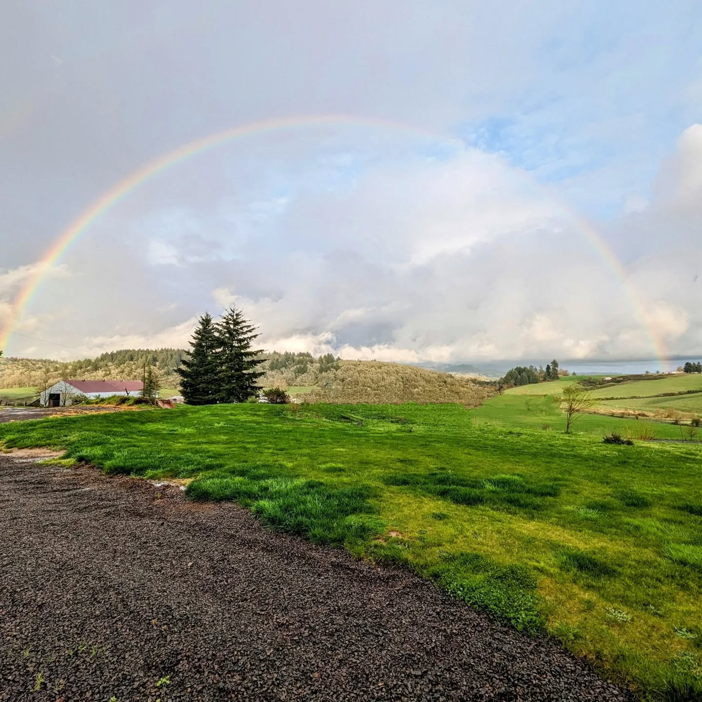 Afternoon storms have many rewards