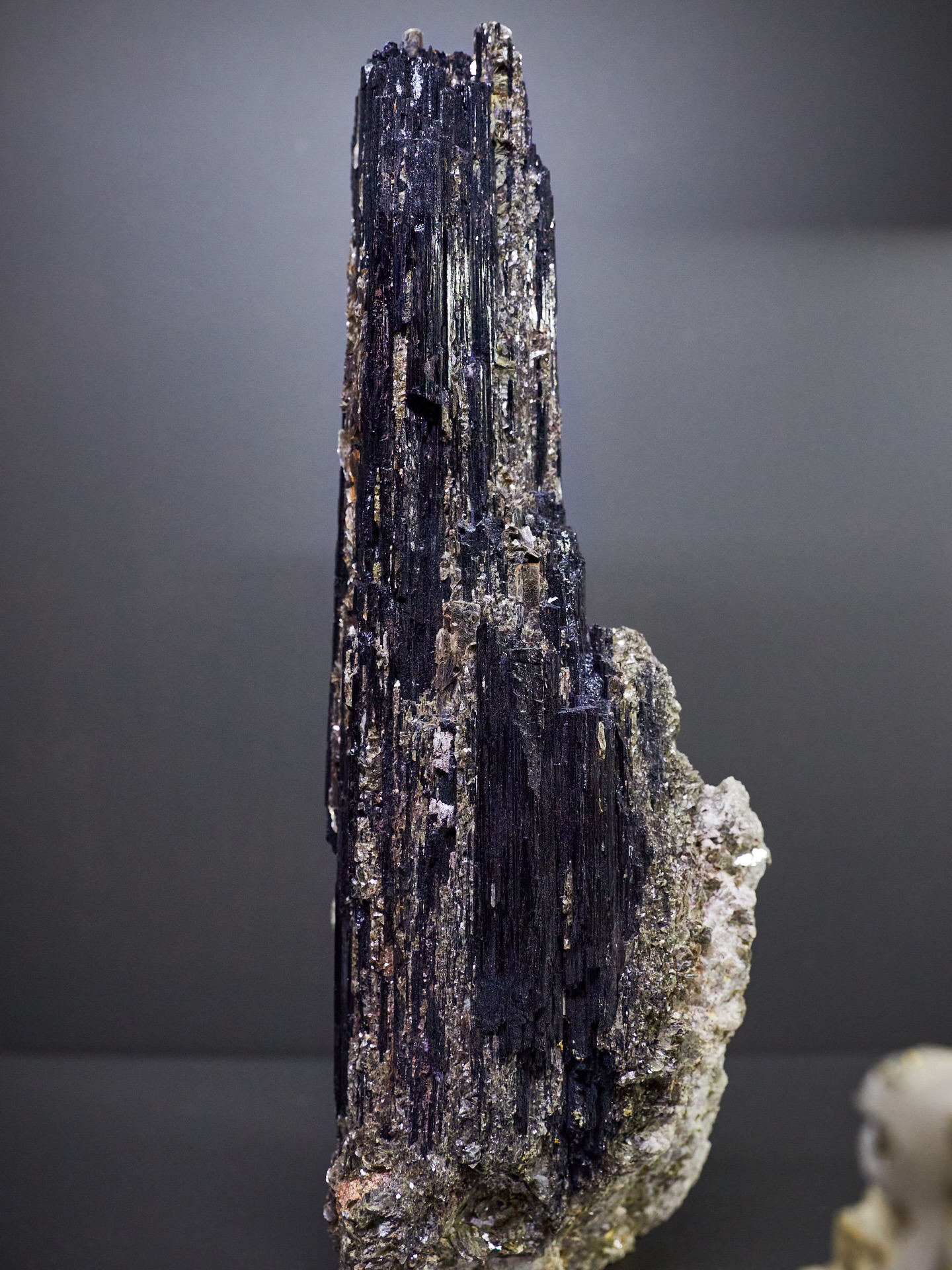MINERAL MONDAY ✦ BLACK TOURMALINE
This doesn’t look like something nature made quietly. And yet, it did.
Black tourmaline forms deep within the Earth under immense pressure, growing slowly over geological time. Its dark colour and strong vertical structure give it a powerful presence, while every crystal tells a slightly different story.
As part of the tourmaline family, it belongs to one of the most diverse mineral groups on Earth. Green, pink, blue - and black. Each variety shaped by different conditions, each one unique.
What fascinates us most is this contrast:
a mineral that looks strong and almost sculptural, created through patience, time and natural balance.
In our in-house mineral museum, black tourmaline stands alongside many other tourmaline varieties and rare specimens from around the world - inviting you to slow down, look closer and discover what nature creates when it takes its time.
Selected minerals can also be found in our online shop, curated with care.
More to discover via the link in our bio.
Nature doesn’t rush. And it shows.
#mineralmonday #mineralmoments #mineralienhotel #mineralhotel #boutiquehotel #slowdiscovery #tourmaline #naturalwonders #earthstories #mineralmuseum #minerals #mineralsforsale #mineralspecimen #blacktourmaline