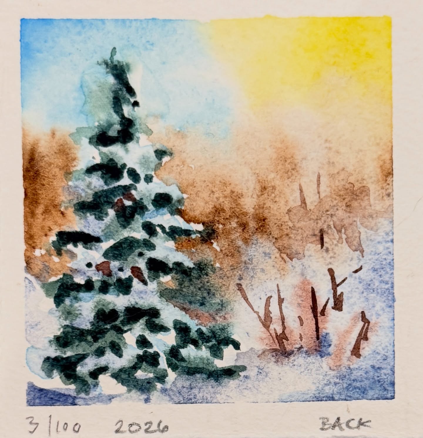 I challenged myself this year to do @hellolovelypeople_ ´s 100 tiny paintings. Painting 3/100 is a great example of SHIFT. As the day slowly shifts to late evening. #opusartsupplies
#opusdailypractice
#100tinypaintings
#southsurreywhiterockartsociety
#vancityartist