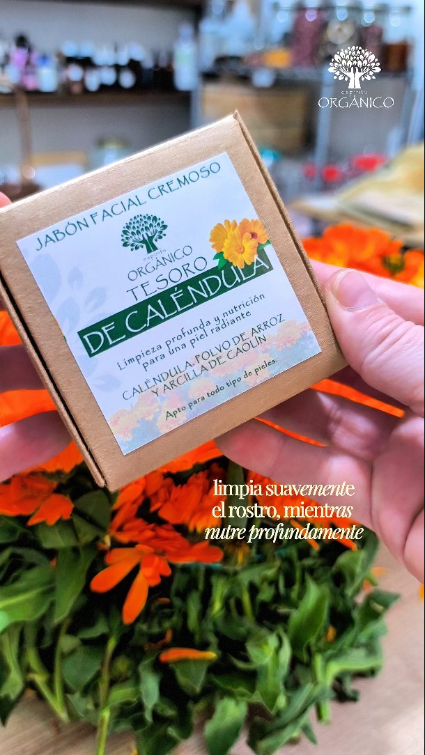 A veces creemos que “sentir la piel rechinando” es limpieza…
pero en realidad es el manto ácido pidiendo ayuda.
Por eso creé Tesoro de Caléndula 🌼
Con caléndula en doble maceración para calmar,
arcilla de caolín para purificar suavemente
y polvo de arroz para dejar la piel sedosa.
Un jabón que limpia sin barrer la protección natural de tu piel.
Porque el manto ácido es tu escudo:
te defiende, mantiene la hidratación y equilibra tu microbiota.
Cuidarlo es el primer paso para una piel sana y luminosa ✨
Menos agresión. Más conciencia. Más amor.
#jabonfacial #limpiezafacial #organico #natural #cosmeticanatural