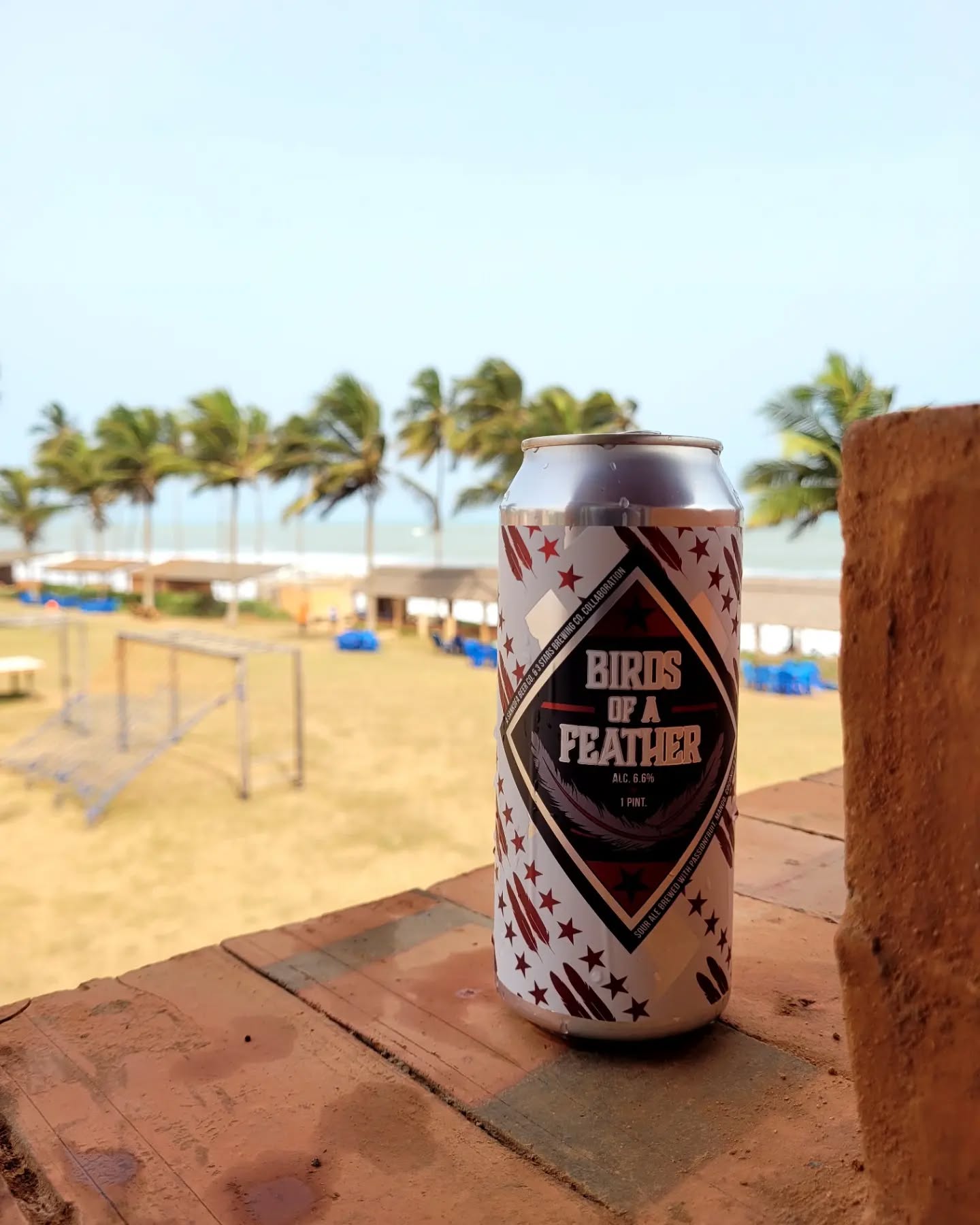 Birds of a feather travels to Ghana 🙌🏽