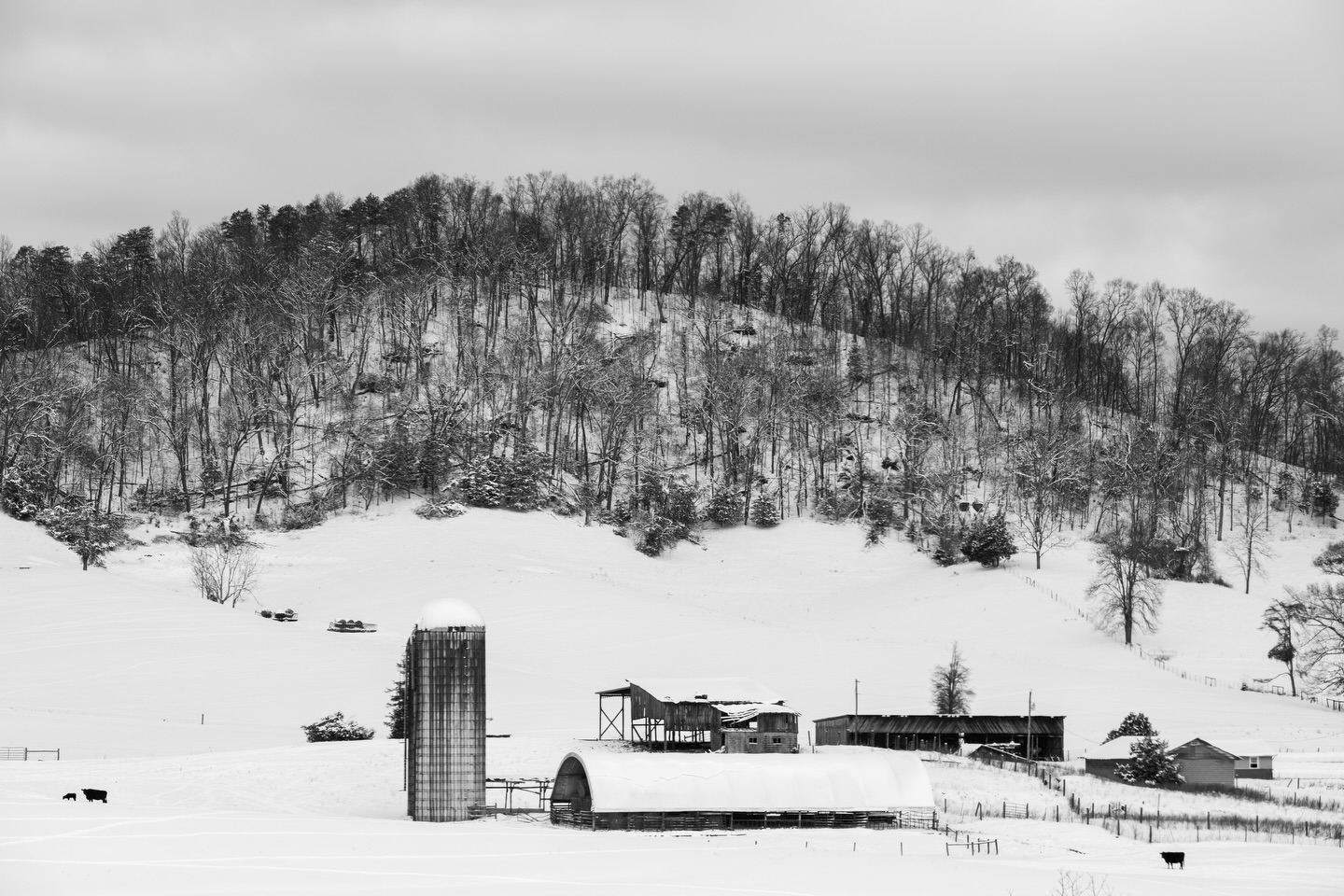Northeast Tennessee. A very beautiful place to live.
amera: FujiFilm XT5
Lens: FujiFilm 50-140 f2.8
No filter
#fujifilmxt5 #fujifilmx_us #blackandwhitephotography #winter #landscape