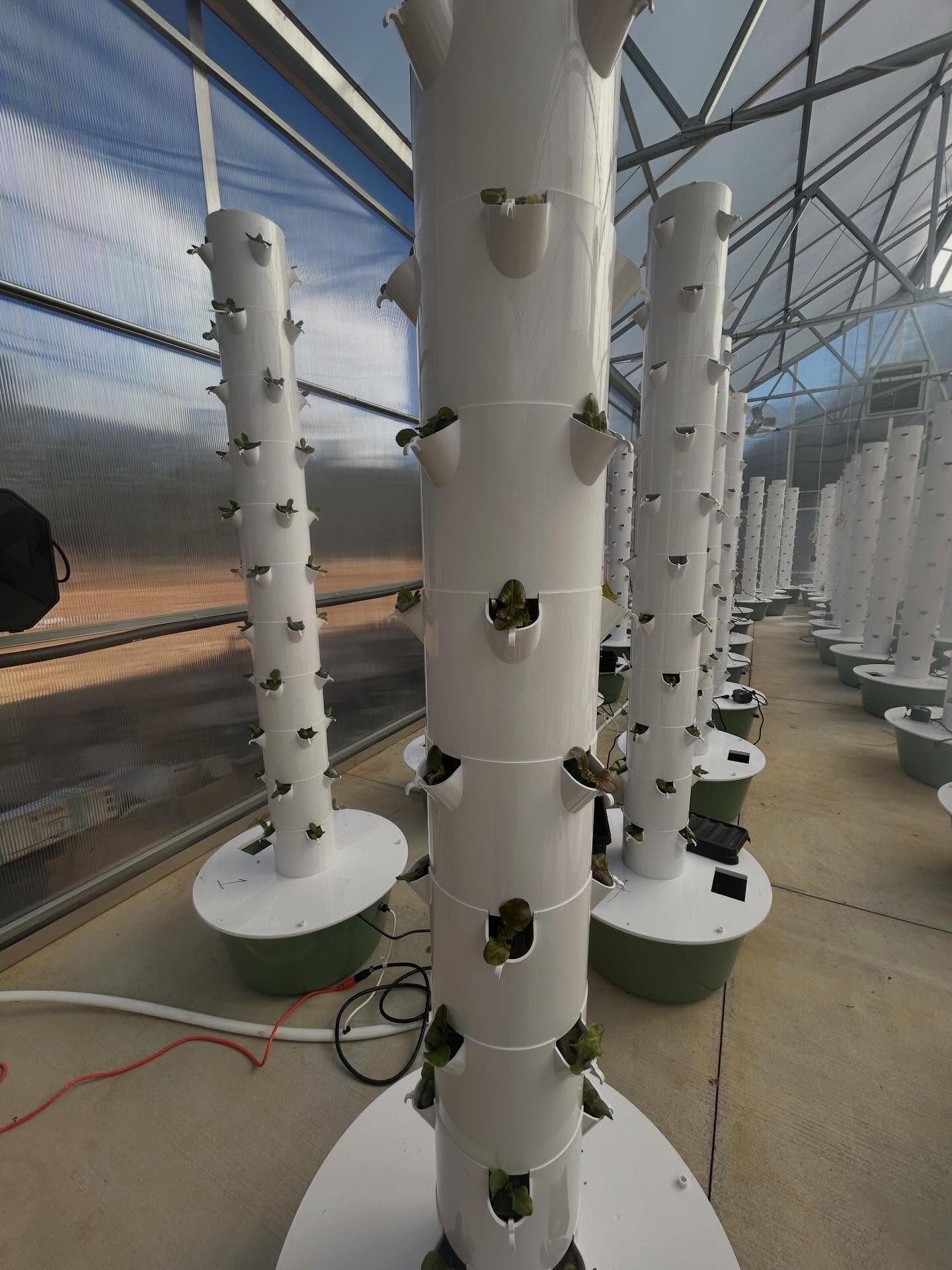 Watch me grow!! Seedlings in the towers…#aeroponics #cleaneating #foodismedicine #towergardenofficial