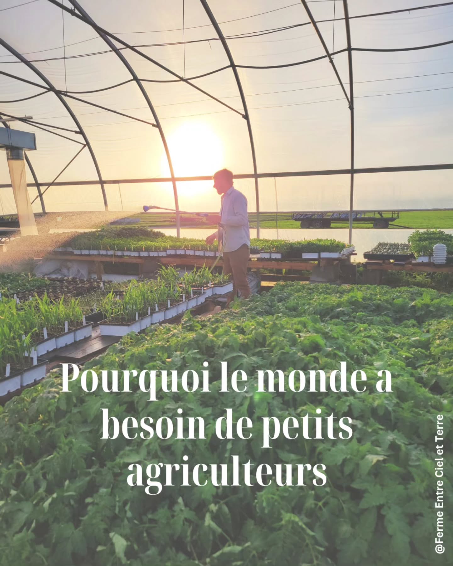 🌱 Pourquoi soutenir les petits producteurs ?
Parce que derrière chaque carotte, chaque laitue et chaque tomate, il y a des humains, des familles, des savoir-faire et une communauté qui s’active.
Les petites fermes nourrissent bien plus que nos assiettes : elles prennent soin des sols, cultivent la biodiversité, créent des emplois locaux et bâtissent des systèmes agricoles plus résilients.
Ce n’est pas la taille de la ferme qui compte — c’est tout ce qu’on y fait pousser, au sens propre comme au sens figuré. 💚
👉 En choisissant local, tu fais grandir un avenir plus juste, plus vivant et plus régénérateur.
Les abonnements pour les paniers de légumes 2026 sont en cours!🥕
Site web en bio!
#PetitsProducteurs #AgricultureLocale #Maraîchage #TerreVivante #SouverainetéAlimentaire