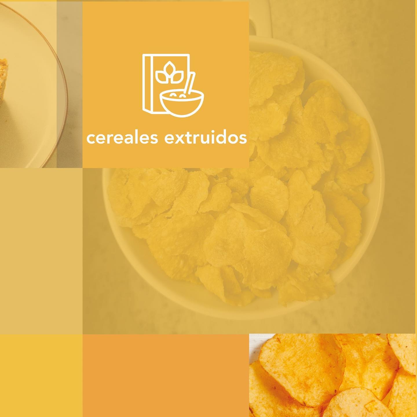 En Altecsa integramos una cadena de valor que empieza con el cultivo de #PrincipiosActivos como #zanahorias, #cúrcuma y #Annatto y termina en tu plato; llenándolo de color que más te emociona.
🍚
#Altecsa #alternativasnaturales #desarrollodeproductos #ColorantesNaturales #desarrollodealimentos #tecnologáidealimentos
#colorantenatural #color #industriadealimentos #colorantesindustriales n #origennatural #tecnologíadealimentos #lonaturalesinnovar