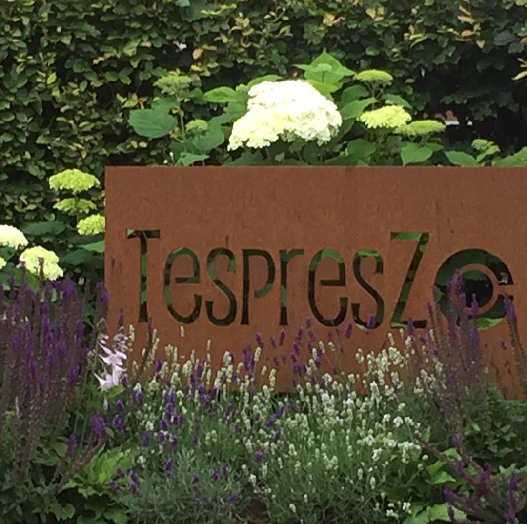 Lente 🌸 TespresZo-passie voor koffie-