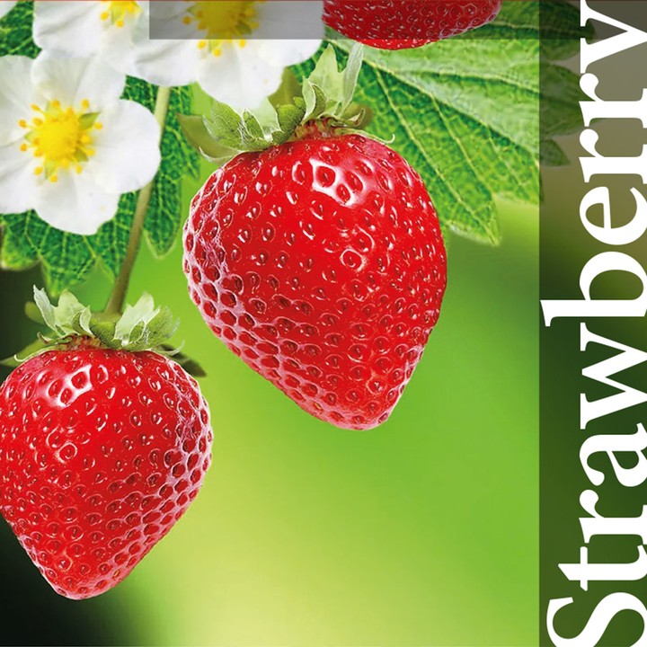 Led Toplight - V3
LED Toplight V3 is designed to be used in greenhouse october lighting applications, replacing existing HPS systems with LEDs, or a new application. Due to the high light output (2500 μmol/s), it improves crop quality and annual crop yield.
#smartgarden #growlight #indoorfarming #topraksıztarım #Ledgrowlight #indoorsmartgardening #tissueculture #dokukültürü #greenhouse #hydroponicfarming #horticulture