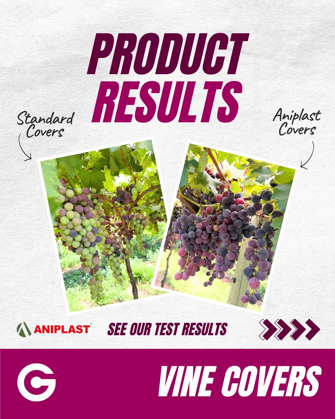 PRODUCT TEST 🍇
Same vineyard. Same heat. Different results.
A local grower tested our @aniplastsrl Vine Covers against standard white covers during weeks of extreme summer heat we experienced the past few weeks.
The outcome was clear:
✔ Cooler temperatures under Aniplast
✔ Reduced heat stress on vines
✔ Grapes ripened 2–3 weeks earlier
Proven performance where it matters most — in the field.
Order yours for next season now! 🍇
Grapecare.au/vine-covers
#Aniplast #tablegrapes #Viticulture #GrapeGrowing #FieldTested