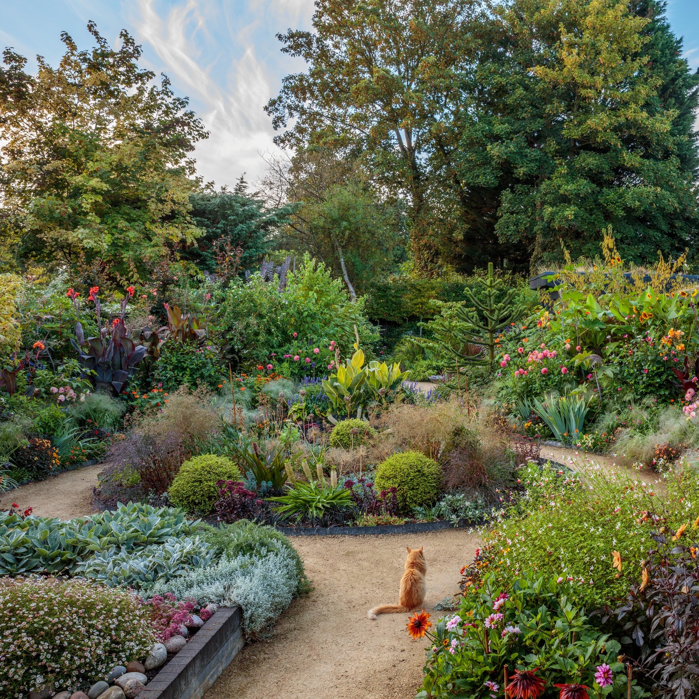 Following on a recent publication in @gardens_illustrated magazine (February 2026, issue 361), here are a few more closer angles of my garden beautifully captured by magnificent @clivenichols
These showcase my planting style - lush, vibrant with strong colours and year round interest in mind as I strongly believe gardens are there to be enjoyed year round.
#gardensillustrated #plantingdesign #plantingdesigner #GardensOfInstagram #GardenInspiration #InMyGarden #Horticulture #SummerVibes #ngs #nationalgardenscheme #surreyngs #Surrey #Woking #surreyhills #surreylife #surreygardeners #gardenvisiting #grandifloruscouk #horsell #guildford #weybridge #cobham #esher #waltononthames #hersham #addlestone #westbyfleet #byfleet #virginiawater #ascot