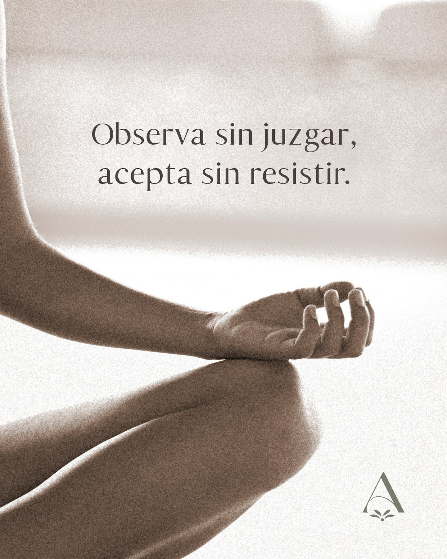 REGÁLATE UN MOMENTO DE PRESENCIA ✨
El momento presente no necesita tu juicio, solo tu presencia. 🍃