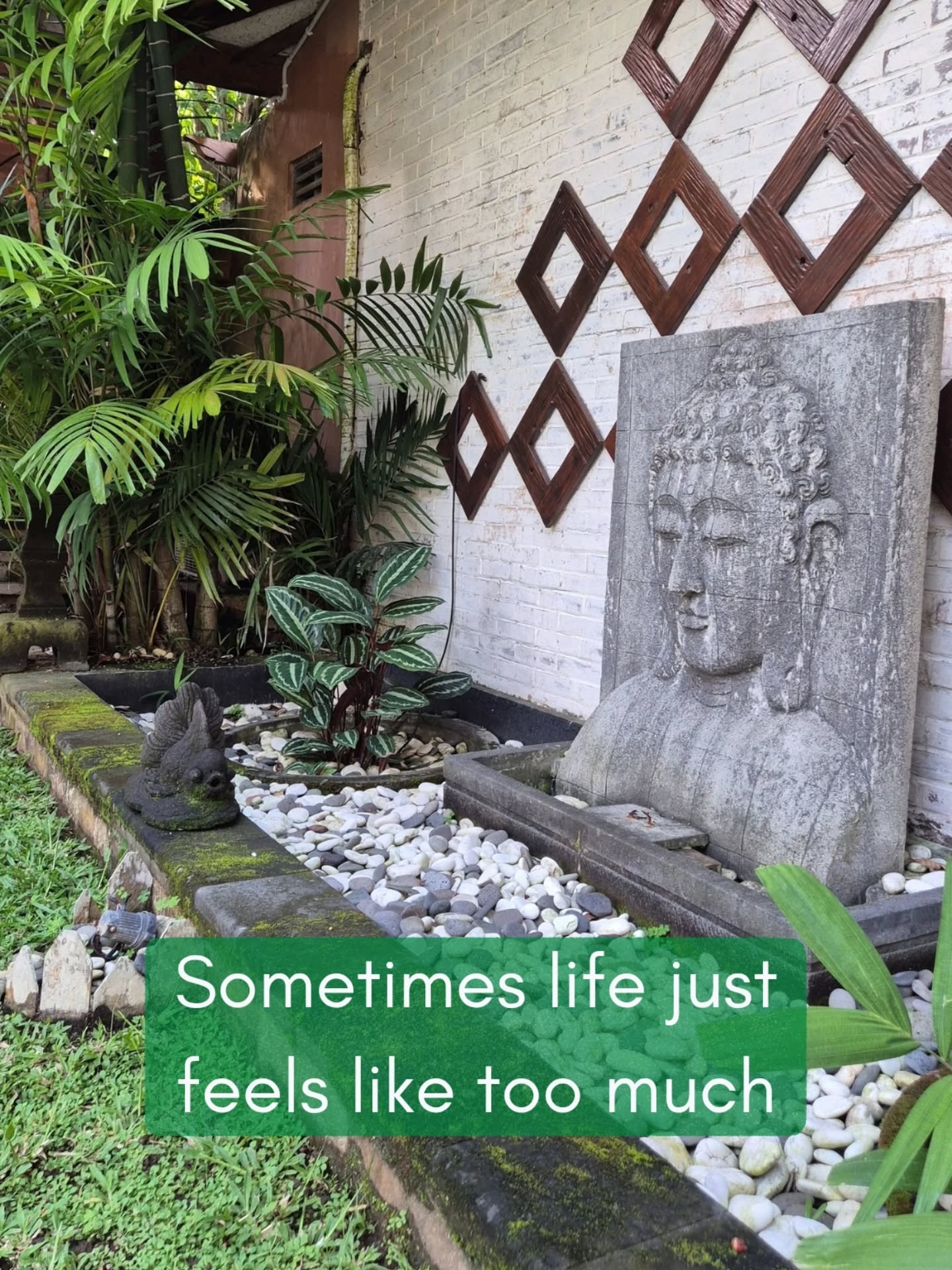 It's been one of those days...
Sitting in my garden, enjoying the peace, the cool breeze, the birds, the sunset.
A little reprieve from the day's noise.
And got me thinking about how, for all of us, at one time or another, life can feel too much.
Getting pushed and pulled in every direction.
How do we stay centred? How do we remain calm?
How do we take care of ourselves in all this noise?
No answers here.
Just honest reflections.
A moment of sharing one's human-ness 🫶
Wherever you are in the world, stop for a moment. Pause. And take a deep breath.
The world is always working for us, even if we can't see it yet.
Big love,
Jade Cx
#pauseandreflect #natureheals #Ayurvediclifestyle #takeadeepbreath #youareenough