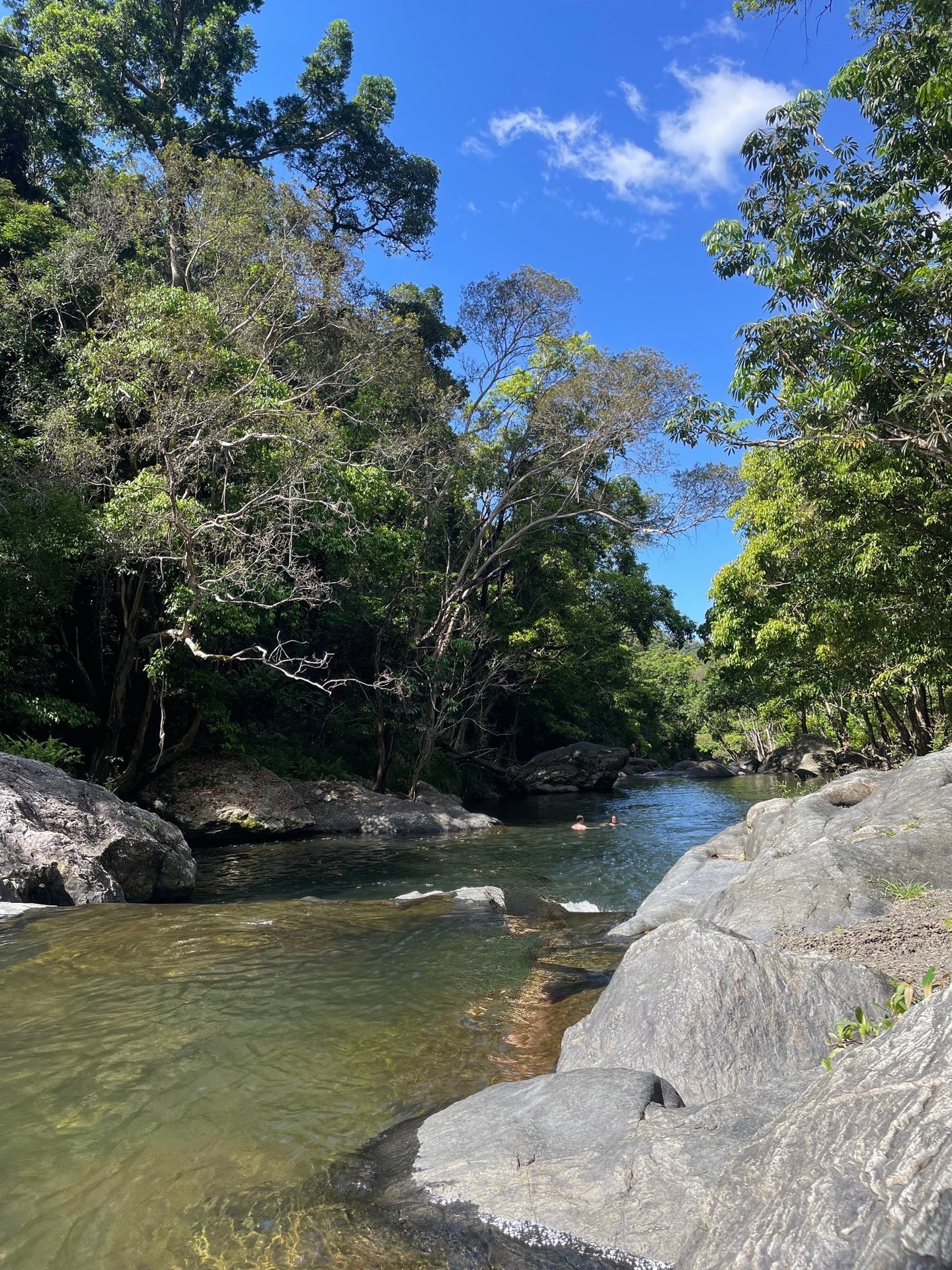 Crystal Cascades Waterfall🌈
Escape to nature😊
Only 30-40 minutes away⭐
#cairns#hostel#backpackers#waterfall