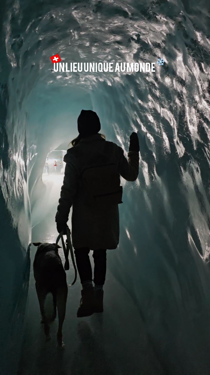 ᴍᴜꜱᴛ-ᴅᴏ ᴇɴ ꜱᴜɪꜱꜱᴇ 🇨🇭❄️🤩
Un palais creusé dans un glacier vivant, à 3 454 m. 🏔
Une expérience unique en Europe 🙀⬇️
❄️ 📍𝐏𝐚𝐥𝐚𝐢𝐬 𝐝𝐞𝐬 𝐆𝐥𝐚𝐜𝐞𝐬 – 𝐉𝐮𝐧𝐠𝐟𝐫𝐚𝐮𝐣𝐨𝐜𝐡 ❄️
📌 Lieu : Jungfraujoch – Top of Europe 🇨🇭
🚞 Accès : train depuis Interlaken (via Grindelwald ou Lauterbrunnen-Wengen)
⚠️ Plus haute gare ferroviaire d'Europe
🧊 Où : creusé dans le glacier d’Aletsch
⏱️ Durée de la visite : 15–20 min
💰 Prix accès Jungfraujoch : env. 100 à 250 CHF selon le départ et les réductions (Swiss Travel Pass, demi-tarif, etc.) - tarifs en ligne avantageux!
✅️Palais des Glaces : inclus dans le billet de train
📆 Ouvert : toute l’année
❄️ Température : env. -2 à -5°C
🧥 Conseil : veste + chaussures antidérapantes
🐕 Chiens : ok 👍🏻 attention aux coussinets 😌
🏨 Pour profiter pleinement de l'expérience (il faut compter 4-5h au sommet, le Palais n'étant qu'une activité parmi d'autres), je te conseille de dormir à Wengen, Lauterbrunnen ou Grindelwald.
Tu as déjà testé? 🥰
🔖 Sauvegarde ce spot pour ton prochain voyage en famille, en amoureux ou entre amis 🤗
Suisse | Explore | Activités | Alpes bernoises