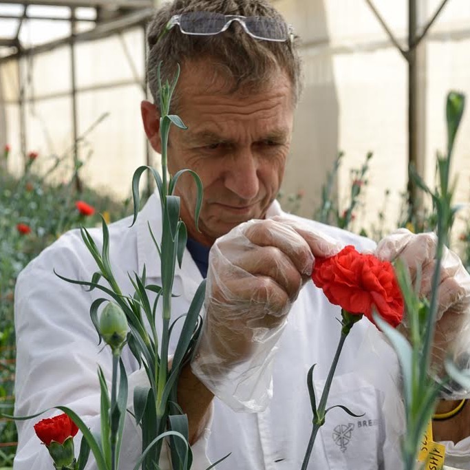 Selecting new varieties from the seedlings
.
.
.
.
.
.
#flowers #flower #petal #petals #nature #beautiful #love #pretty #plants #blossom #sopretty #spring #summer #flowerstagram #flowersofinstagram #flowerstyles_gf #flowerslovers #flowerporn #botanical #floral #florals #insta_pick_blossom #flowermagic #instablooms #bloom #blooms #botanical #floweroftheday