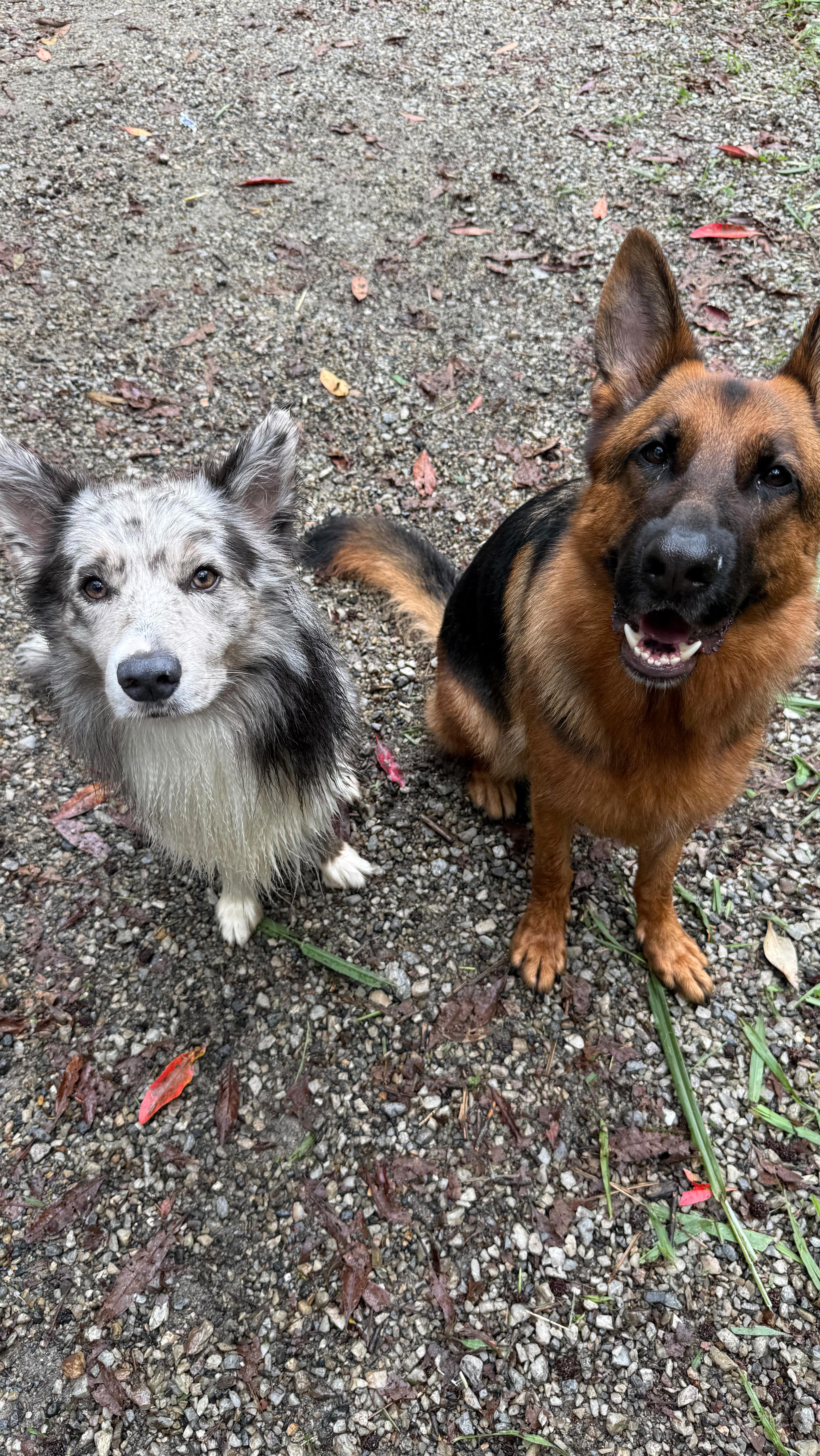 Wednesdays Training ❤️🔥