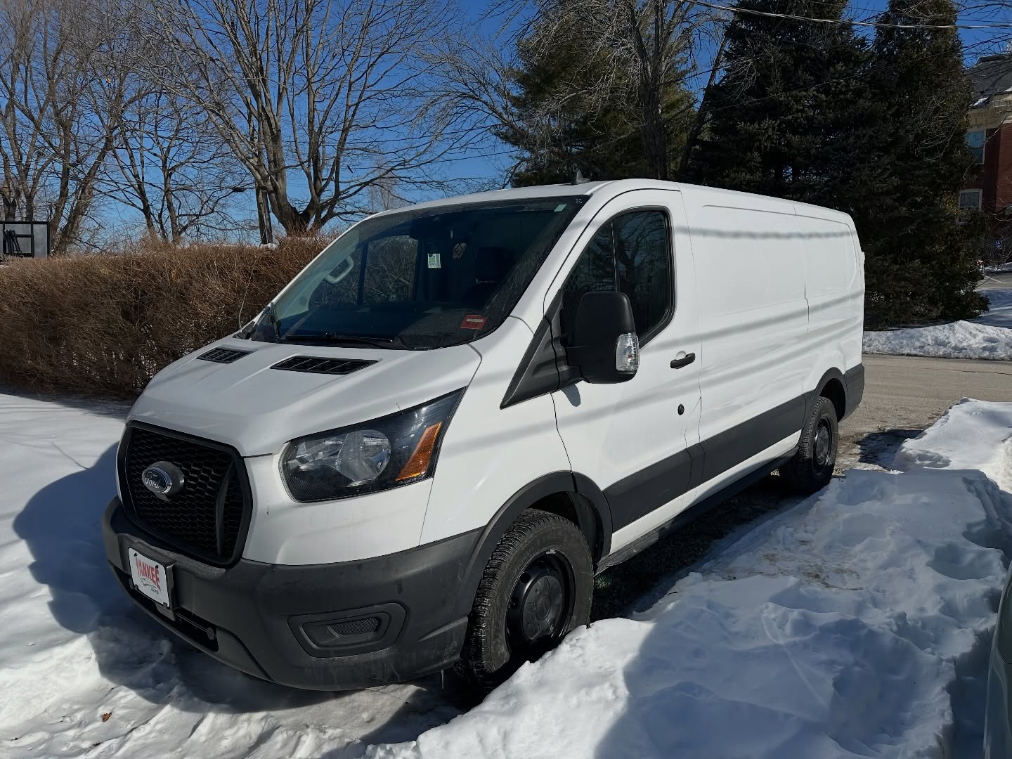 New addition to the FortHouse Fam! Help me name it! 😊