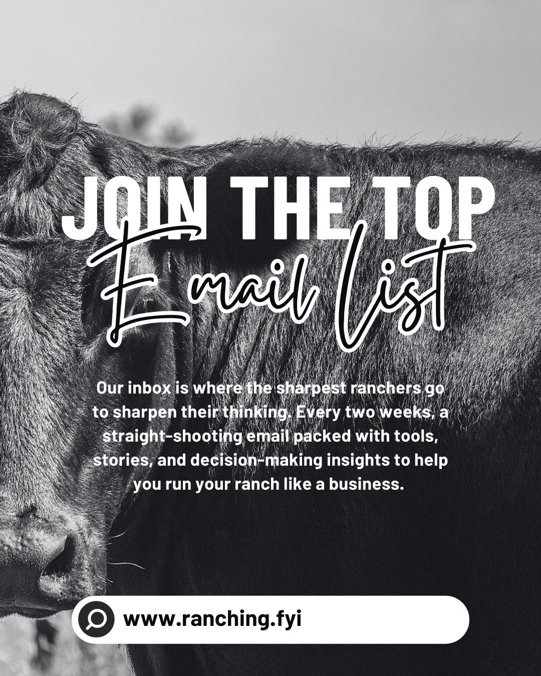 Most ranchers don’t need more information.
They need better thinking.
That’s what our email list is for.
Short insights. Clear frameworks. Real-world decision filters you can actually use — whether markets are calm or chaotic.
No spam.
No noise.
Just ideas that help you make better decisions faster.
If you want fewer guesses and more confidence in your operation, get on the list.
#ranchingfyi #rancheducation #cattlemarkets #agbusiness #ranchdecisionmaking #ranchstrategy #ranchconfidence #agthinking