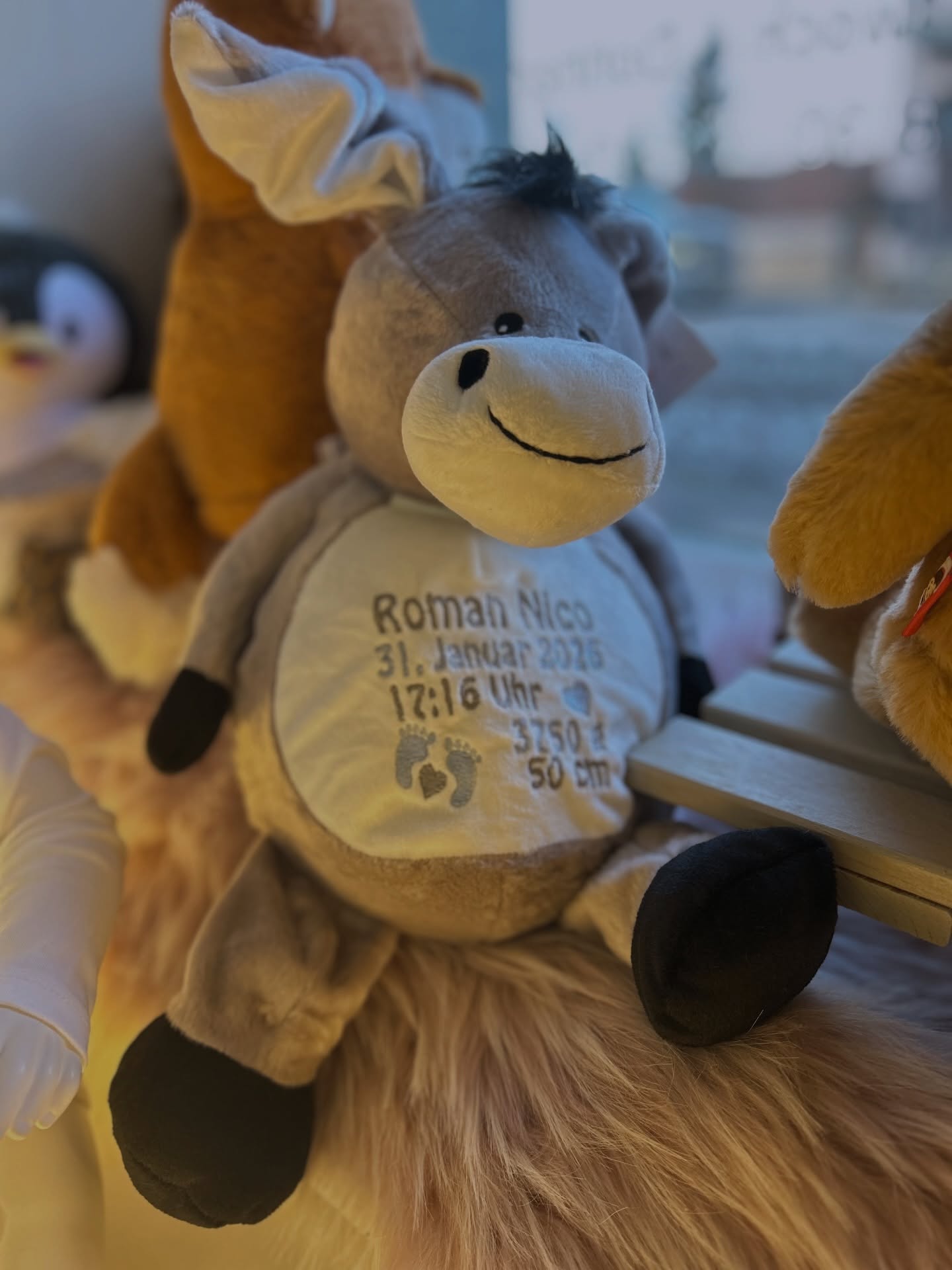 Willkommen auf der Welt kleines Wunder & viel Freude mit Deinem neuen Plüsch-Buddy 🥰🤩 #personalisiertesgeschenk #plüschtier #newborn #geburtsgeschenk #willkommensgeschenk