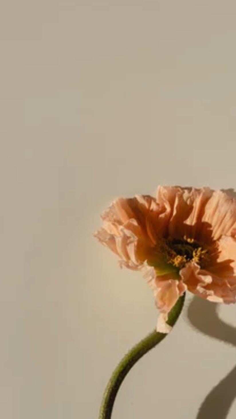 Heilung beginnt, wenn du fühlst nicht wenn du nur verstehst
Sobald du aufhörst, Symptome zu bekämpfen, und beginnst, den Ursprung zu fühlen, löst sich Energie.
Genau hier setzen Berührung, Atem, bewusste Präsenz und Methoden wie Lympharbeit oder Madero an💛
#lymph #lymphaticdrainage #maderotherapy #madero #massage