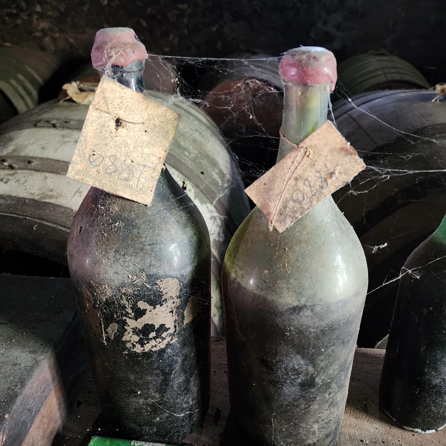 Dusting off the old stuff at Chateau Lassalle Basqué in Gascony
