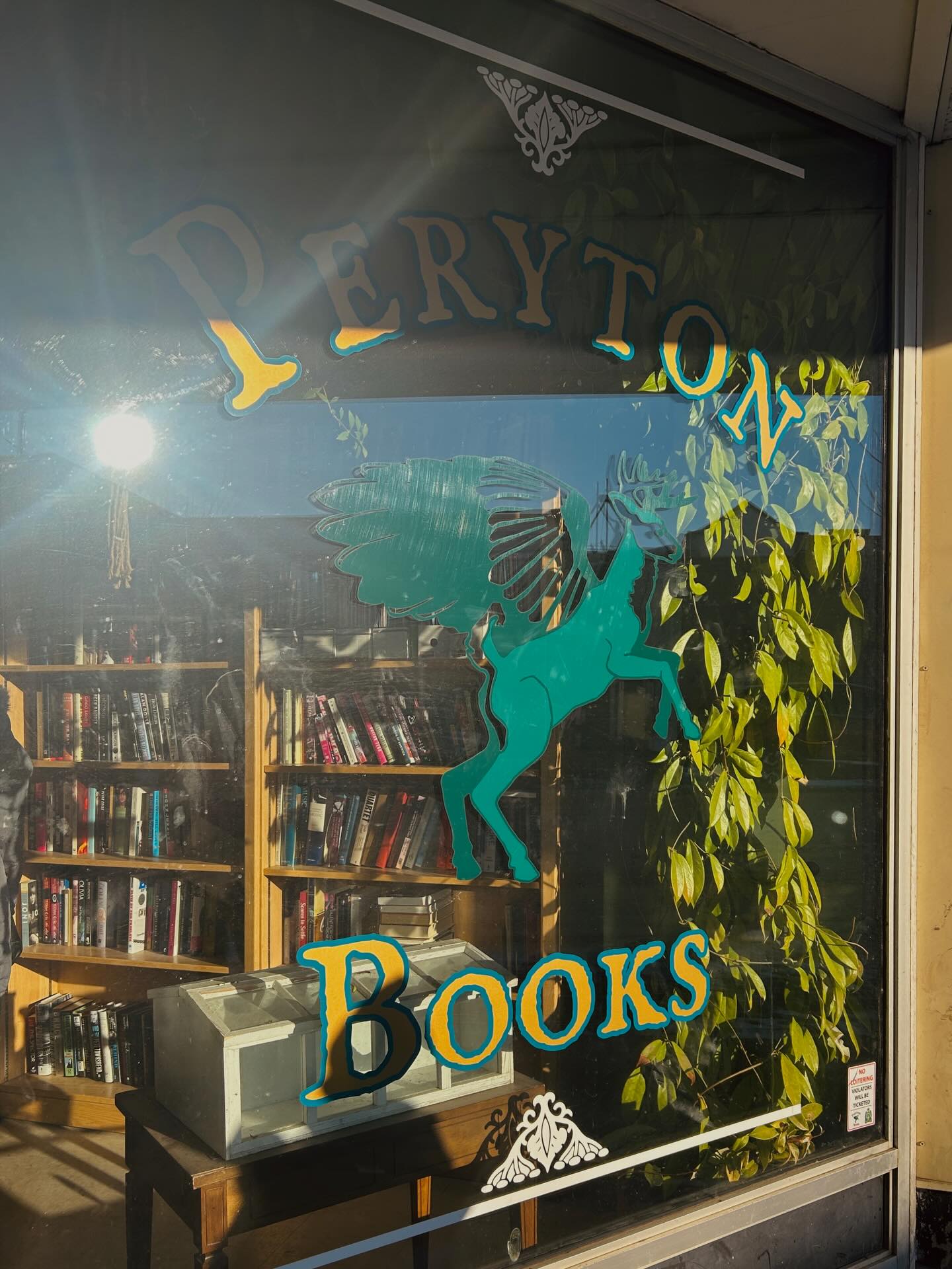 💌 secondhand books and indie bookstores — snippets of bookstore exploring bc i was in canada for a hot minute
ft. peryton books bc i kept coming back here again and again
it took me some time to post this bc i didn’t know what exactly to say that could translate the comfort of spaces like these when it feels like so much is going… but i’m reminded that the uneasiness i feel shouldn’t be a reason to fold away. you can listen and process, without looking away. it’s radical to hope and keep building. perhaps this is how we can mindfully keep moving.
lives depend you staying on your feet.
it was my first time flying alone and the bustling environment of the airport is a strange place to find yourself suddenly without company. it’s freeing but at the same time… i was extra aware of how shutting down will get me nowhere (literally). i did get an iced coffee and start functioning again —
sometimes it’s that simple and other times, it will keep you in bed. on the days i can’t seem to find steady ground, those are the days i turn to simple (simple?) sources of hope such as these. bookstores holding stories that have existed longer than i have and bookstores housing their own history simply by existing.
for small/indie bookstores and everything that gives us the quiet comforting strength to hope
Bookstores I Visited:
📍Peryton Books - Saskatoon, SK
📍Flying Books - Toronto, ON
📍J.H. Gordon Books - Hamilton, ON
📍The City & The City Books - Hamilton, ON