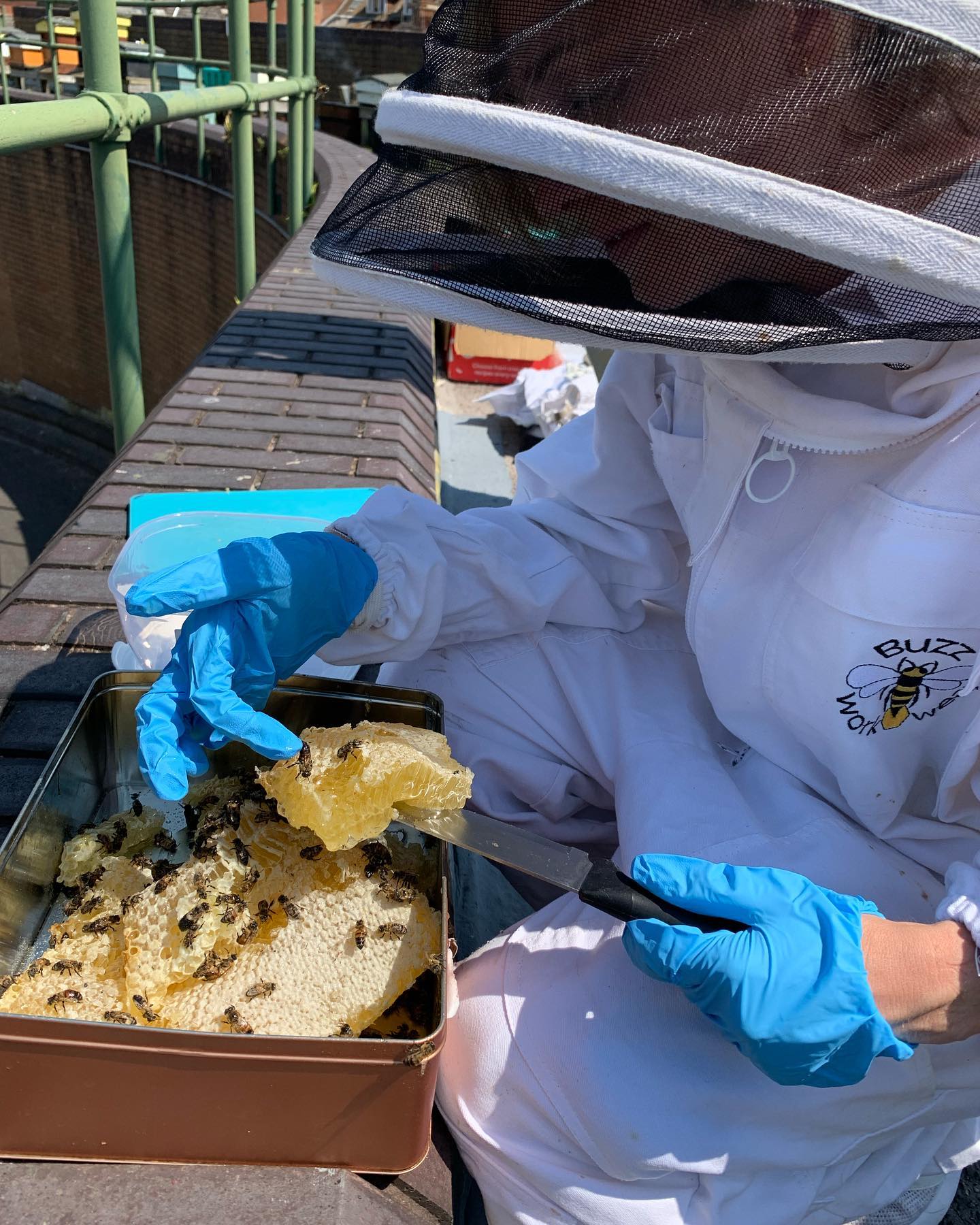 If you leave any space the bees will fill it. In this case full of honey, so we cut it out and shared it amongst our volunteers. A lovely sweet treat for their hard work, of course we had to gently move the bees first. @groundedcommunitycharity .
.
.
.
.
. #bee #honey #honeycomb #honeybee #community #communityeducation #communityengagement #volunteer #beekeepers #beekeeping #beekeeperslife #beekeeper #beekeepersofinstagram #beekeepersgram #education #groundedcommunitycharity