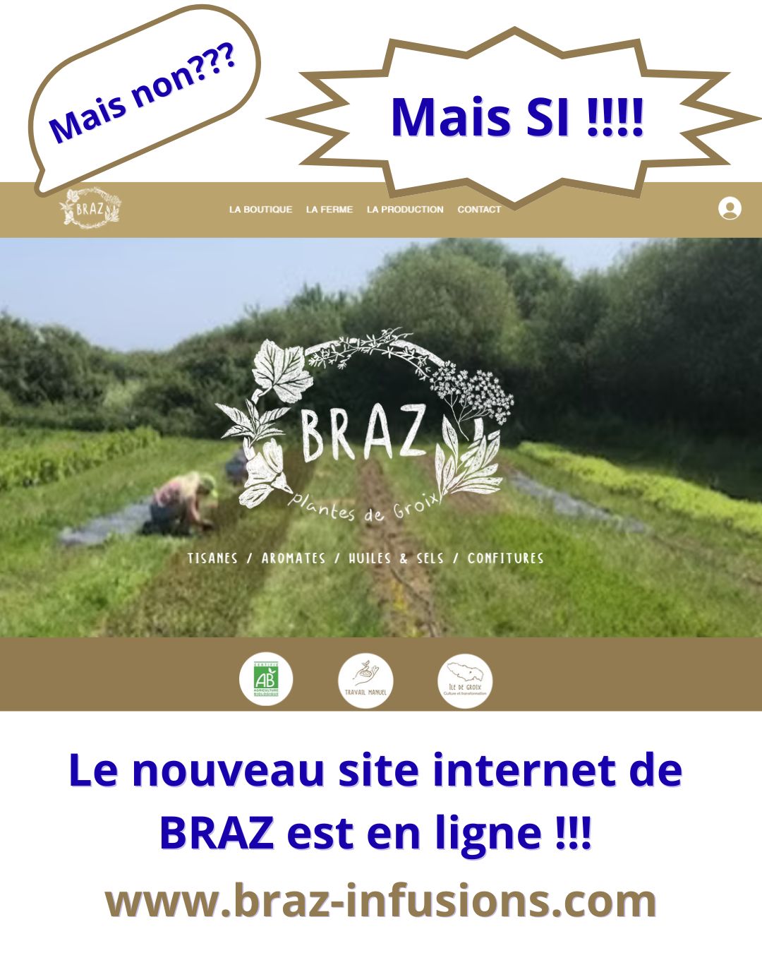 Après un mois de travail (assis mais acharné), le site internet de la ferme est en ligne 🥳🥳🥳
➡️ ➡️ ➡️ https://www.braz-infusions.com
Maintenant, reprise du travail au champs pour remplir la boutique en ligne 🌱. (Enfin, si la pluie cesse un jour 😅)
Merci à @alizeeperroux pour la précieuse collaboration.