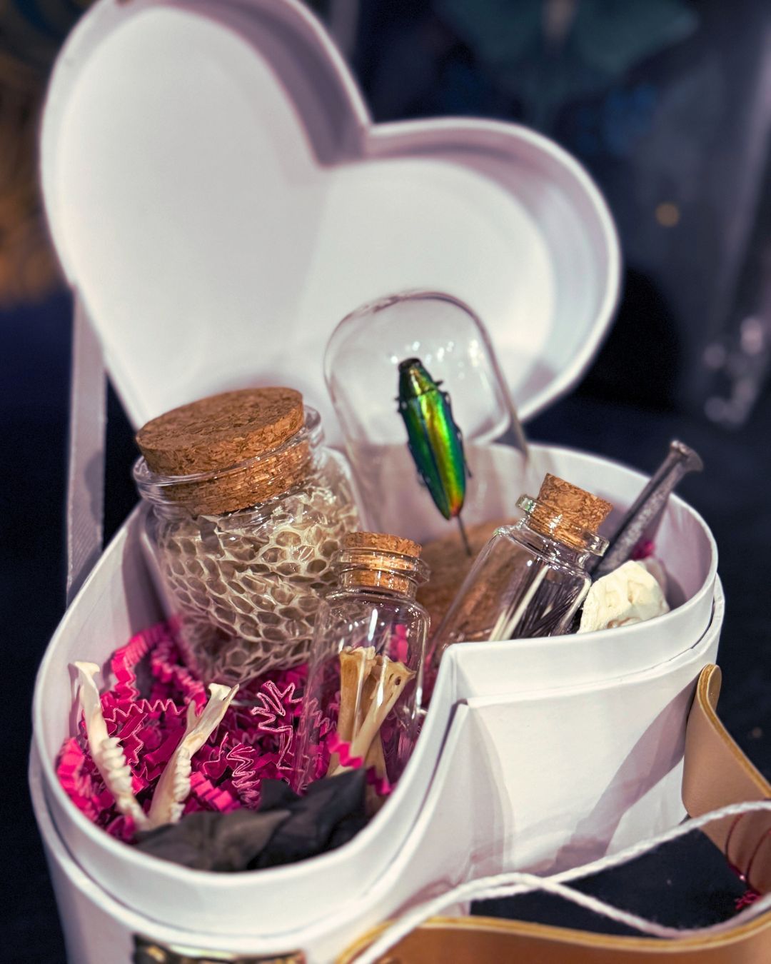 Oddities gift boxes are available for your last-minute Valentines shopping!
#valentines #odditiesandcuriosities #vultureculture #gothgirlfriend #lastminuteshopping