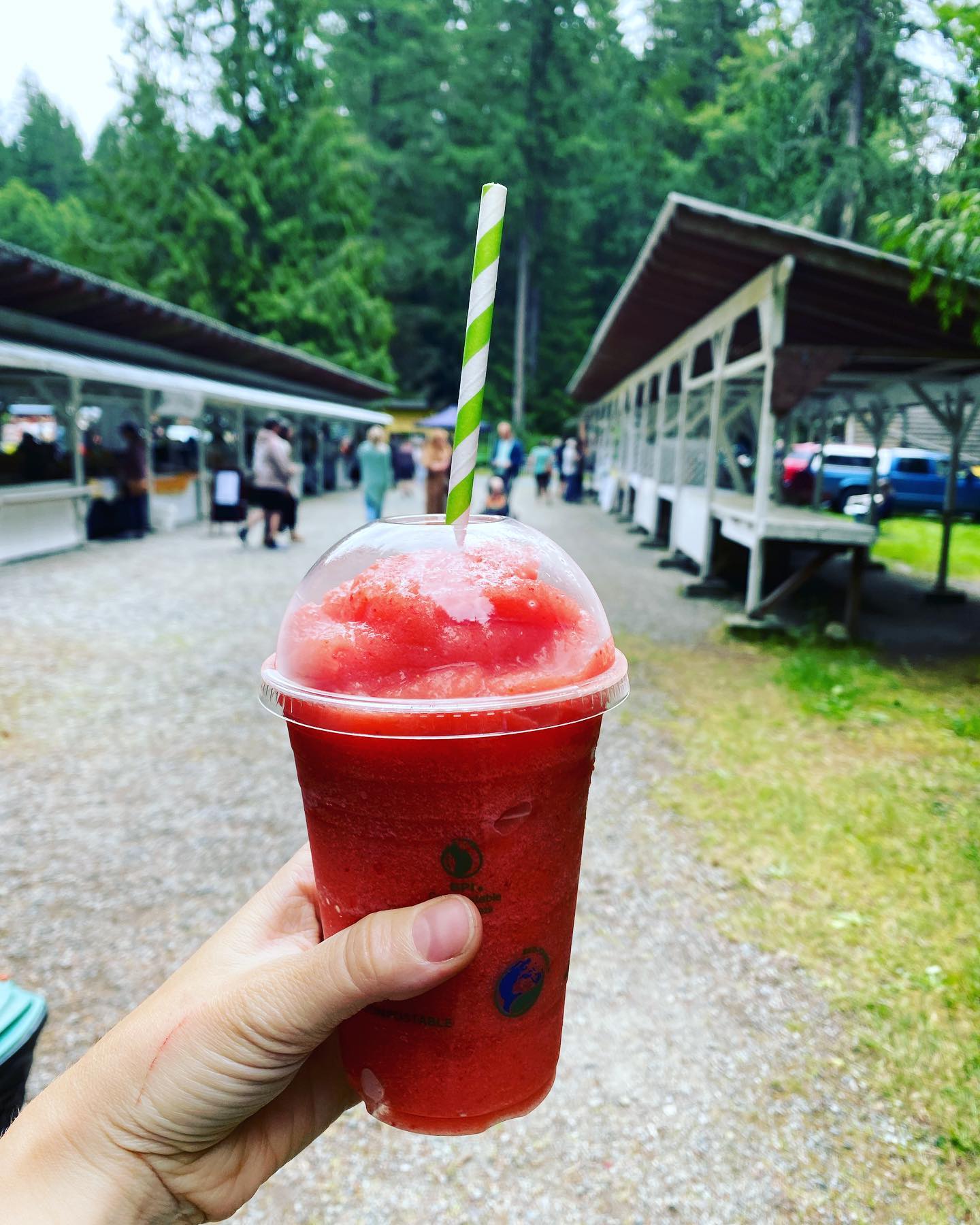 We’re at the Powell Rivers Farmers Market today! Come by for your hot or cold drink of choice 👩🌾🥤☕️
#qathet #powellriver #sunshinecoastbc #tlaaminterritory #coffee