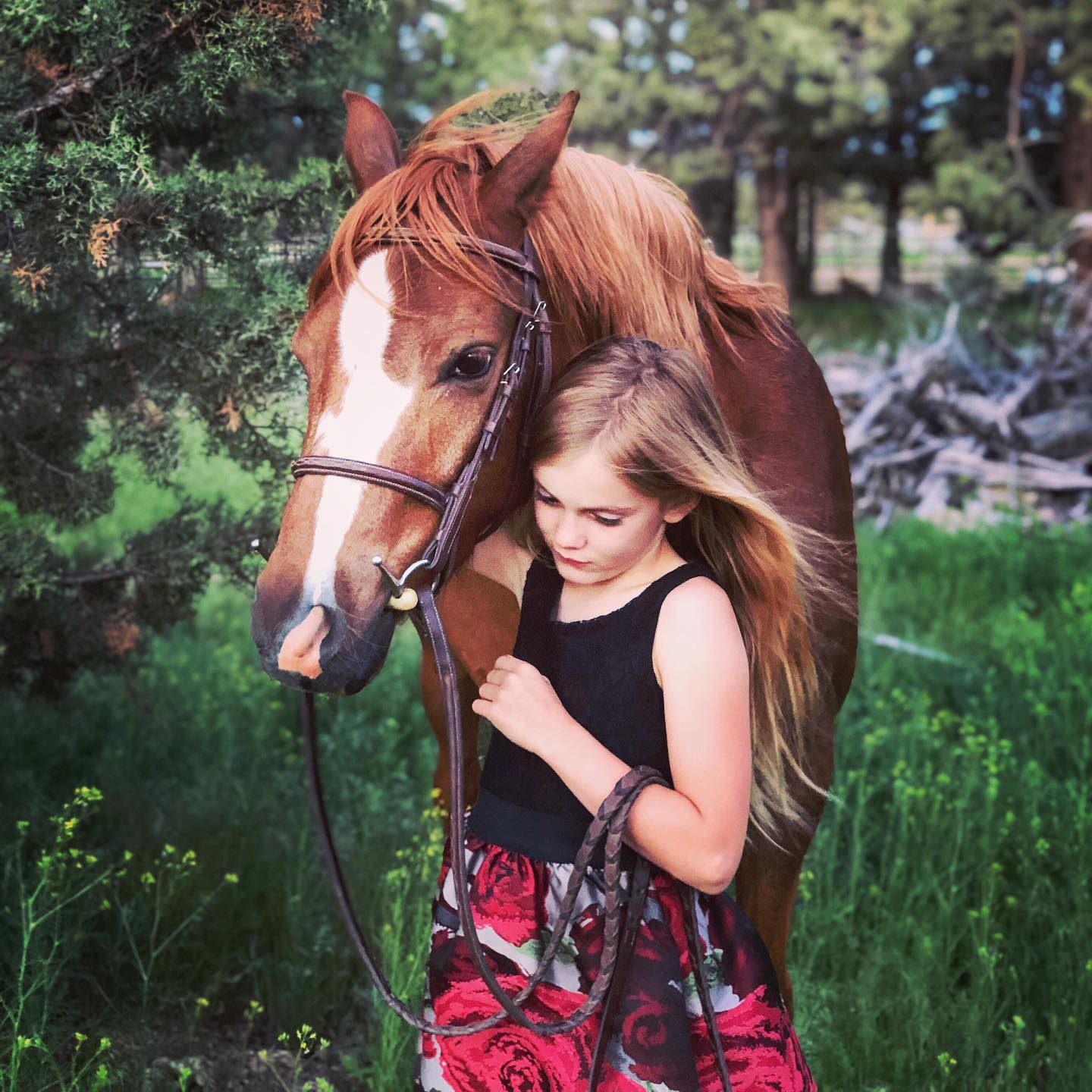Who wants a horse as pretty as this? 😍 Tag a friend.
Cody, a Section B Welsh, age 4, and Quinlyn, age 7.
We started Cody under saddle last Summer. He is as good to ride as he is pretty. ✍🏻 Comment if you think these two are stunning!
💫 Follow to see more photos of beautiful ponies, plus get training tips 💌 Message if you have questions about anything horse
✨Share if you love a beautiful chestnut! .........#welshpony #equinephotolove #beautifulpony #beautifulhorses #horsepicture #horsephotos #flaxenmane #chestnuthorse #sorrelhorse #fancypony #hunterpony #ponyhunter #mediumpony #greenpony #horseplanet