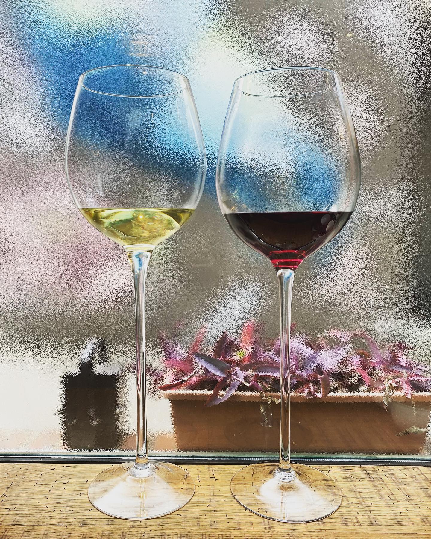 #offdelimprimerie
C’était vraiment bien…
Merci à toute l’équipe de vignerons !
Merci de transmettre et partager, passion et valeurs, merci pour le moment de dégustation, authentique et agréable !
@domaineduclairobscur
@doublezero_vinspurjus
@seiichi.saito.735
@vins.saisons
#antoinepetitprez
#thespacefrombasel
Merci à l’équipe de La Cantine pour ses tapas de folie !
@lacantinedelimprimerie merci a @jean_sebastien72 pour la funky music !
Photo : verres de vins géants by @labricotbleu_
Disponibles sur commande !