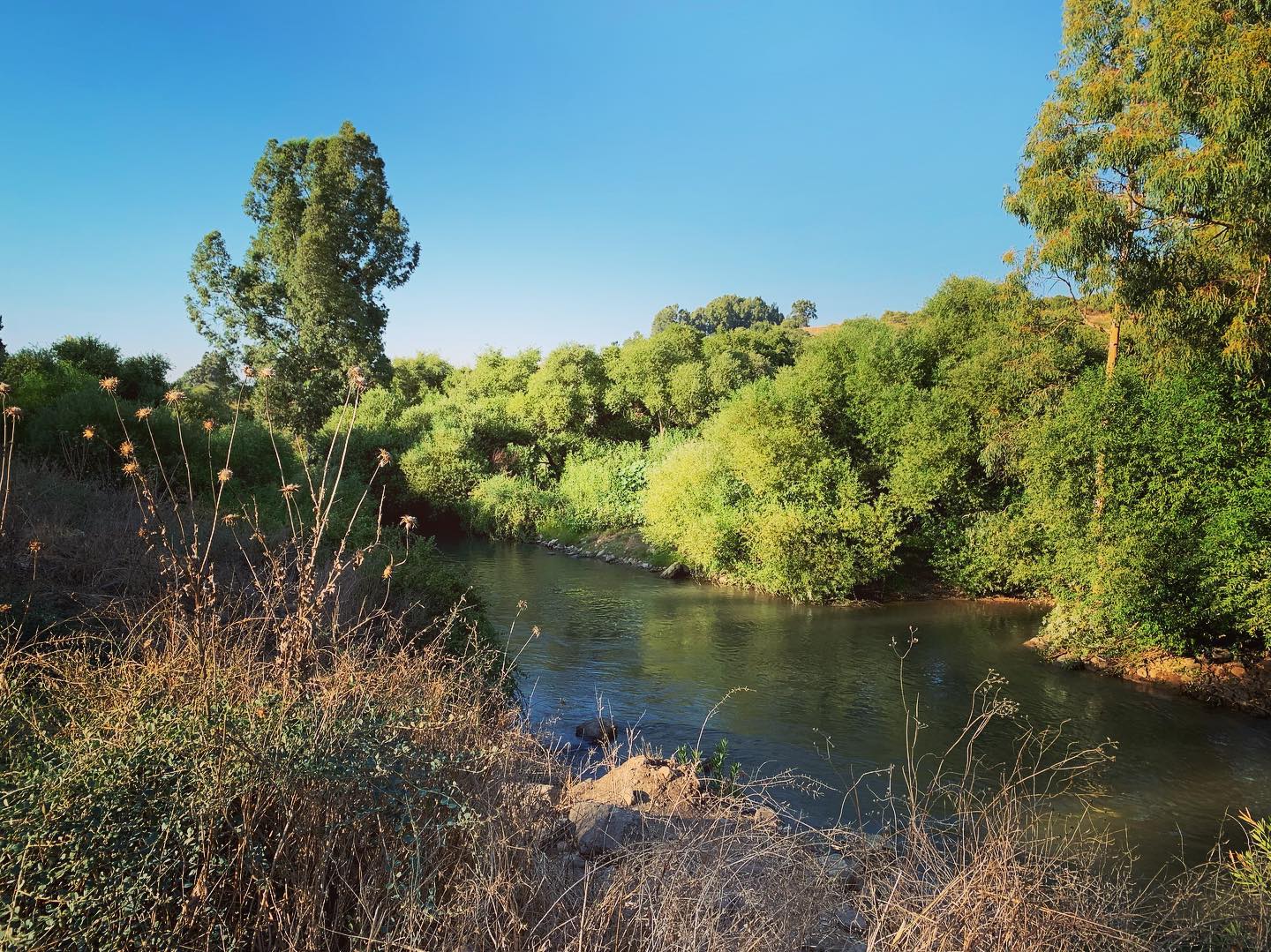 #jordenriver #natureinisrael #nature #Israel #beautifulnature #travel #travellocalisrael #adventuretime #adventureisrael
