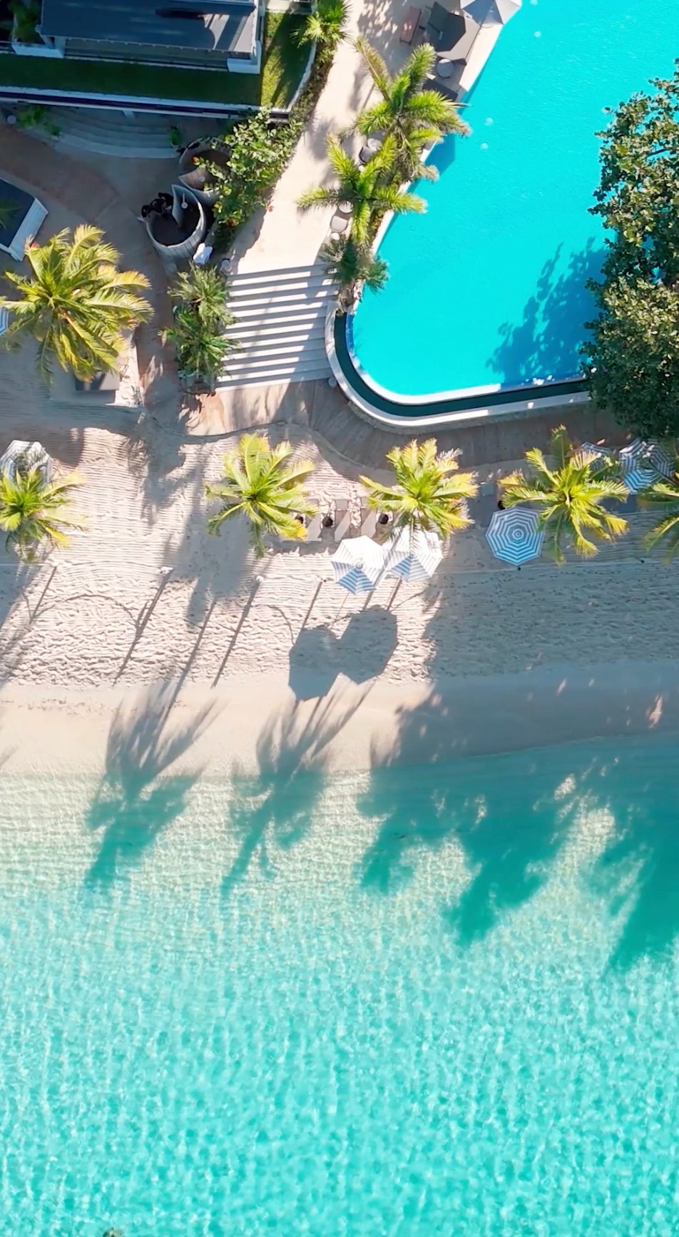 From iconic hotels to world-class cruise lines and tour operators, Virtuoso’s invitation-only network represents the gold standard in luxury travel. ✨✈️
Get inspired by the newest additions, each carefully selected to ensure unforgettable journeys, anywhere in the world.
Reach out to begin planning your next journey ⬇️
(647) 576-7110
info@wayyzatravel.com
#VirtuosoTravel
#bookwithwayyza #thewayyzaway