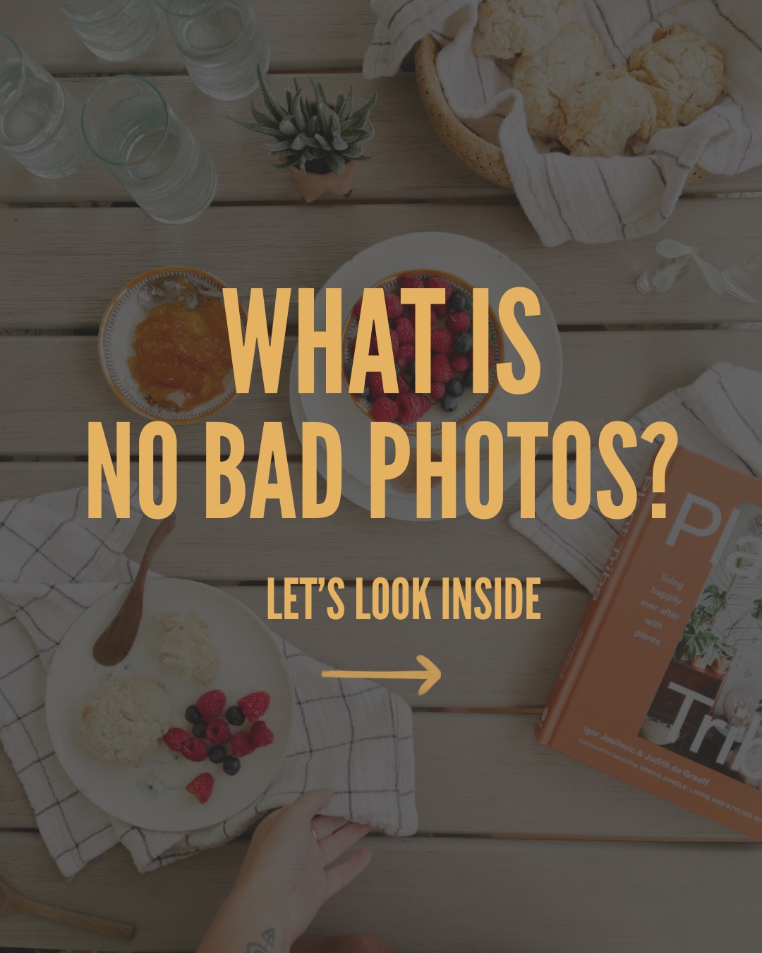 Everyone’s capacity for being seen is different.
If you’re right at the beginning,
if you want to work this out privately, at your own pace,
No Bad Photos is for you.
It’s a standalone course you can do on your own.
You buy it once. You keep it.
You’ll learn a repeatable way to make photos feel doable again.
And when you want to practice with other cool women,
Photo Club is just the ticket.
Our next photo challenge takes place inside the club in March.
More details coming soon.