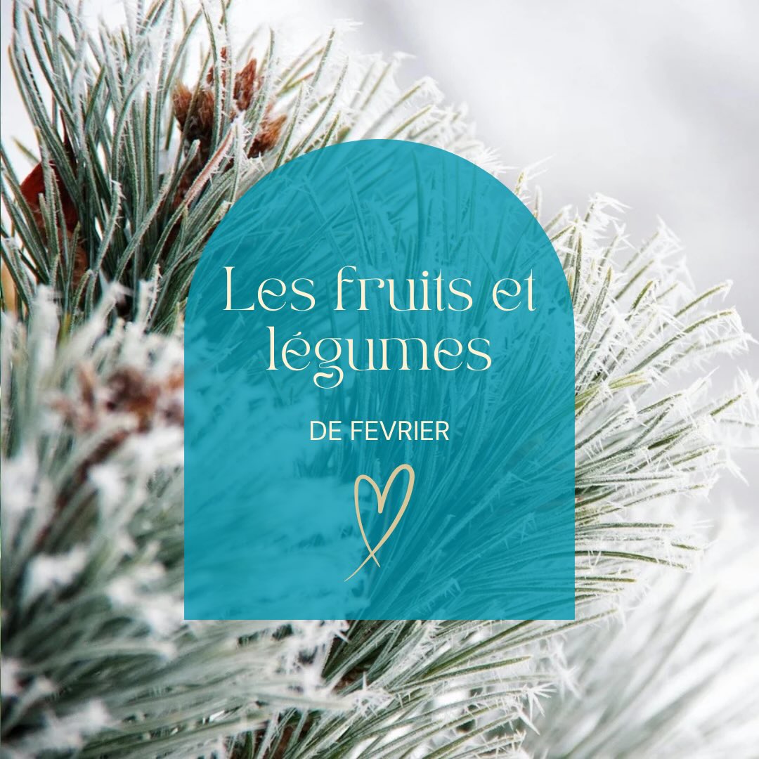 En février, la nature nous invite à revenir à l’essentiel ❄️
Manger des fruits et légumes de saison, c’est soutenir son corps, renforcer son immunité et respecter son rythme naturel.
🥕 Côté légumes :
Carotte, poireau, chou, brocoli, épinards, betterave, céleri, endive, navet…
➡️ riches en fibres, minéraux et parfaits pour des plats chauds et réconfortants.
🍊 Côté fruits :
Orange, clémentine, citron, kiwi, pomme, poire
➡️ de précieux alliés pour faire le plein de vitamine C en hiver.
En naturopathie, l’alimentation de saison est une base essentielle pour préserver l’énergie, la digestion et l’équilibre global 🌱
Et toi, quels sont tes indispensables en février ?
#fruitsdesaison #legumesdesaison #fevrier #naturopathie #alimentationnaturelle