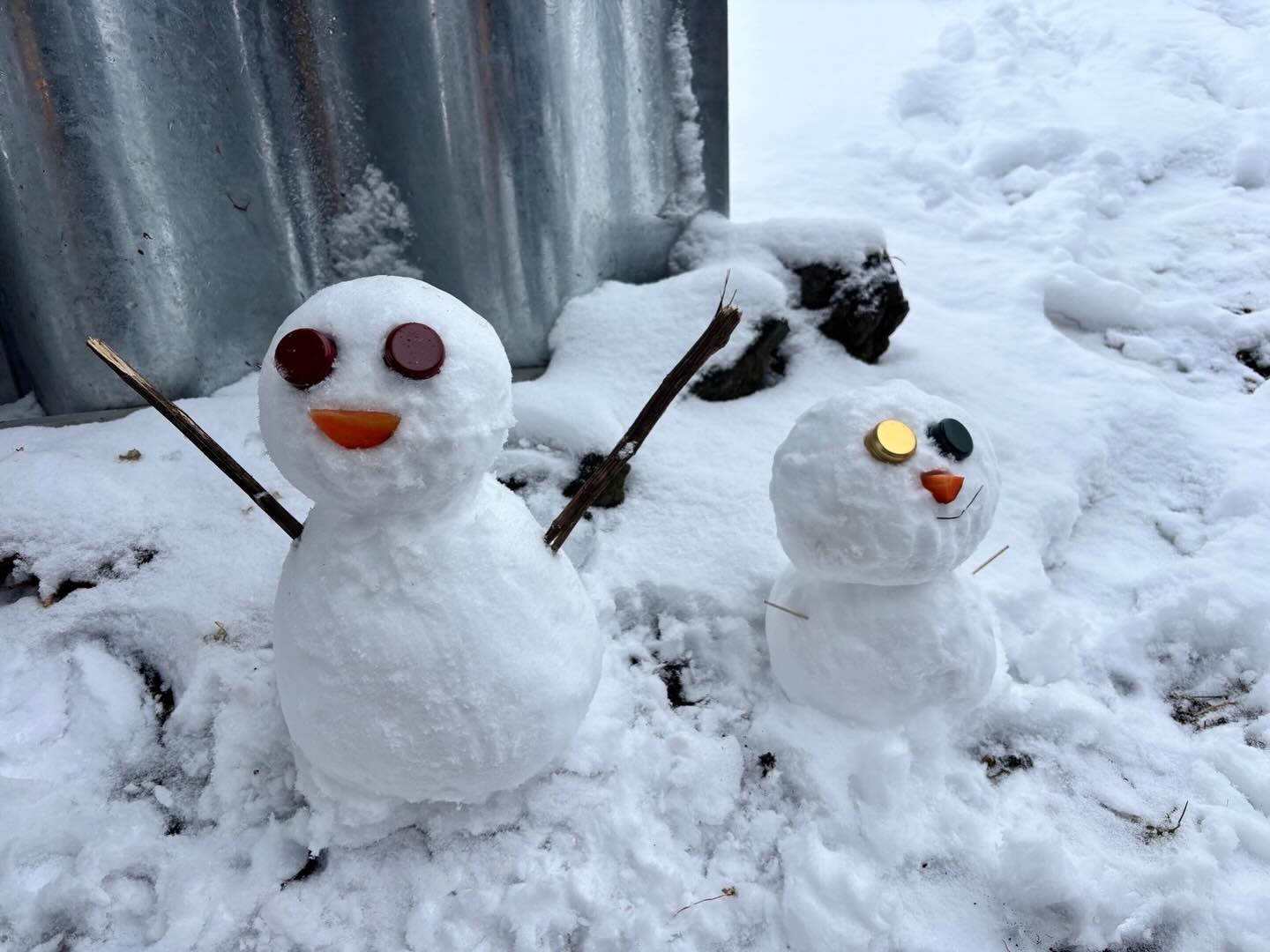ワイナリーで小さな雪だるまを作りました⛄️
雪景色がとても美しく、週末はゆっくりとした時間が流れています。
ぜひ遊びにいらしてください🍷
