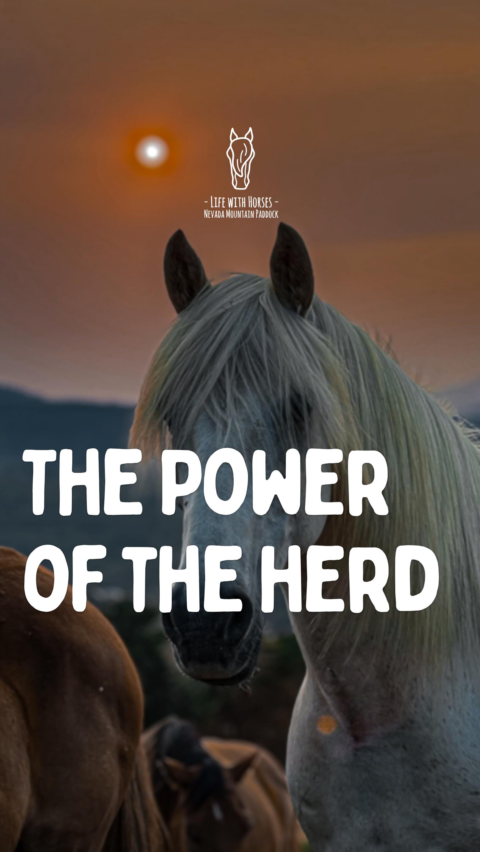 On répare ton algorithme.
Si tu as besoin de plus de chevaux,
de nature, de silence et de reconnexion…
Bienvenue chez Nevada Mountain Paddock.
⸻
🇬🇧 We fix your algorithm.
If you need more horses,
more nature, more silence and reconnection…
Welcome to Nevada Mountain Paddock.
⸻
🇦🇩 Arreglem el teu algorisme.
Si necessites més cavalls,
més natura, més silenci i reconnexió…
Benvingut a Nevada Mountain Paddock.
#algorithm #horse #lifewithhorses #horselifestyle #nevadamountainpaddock