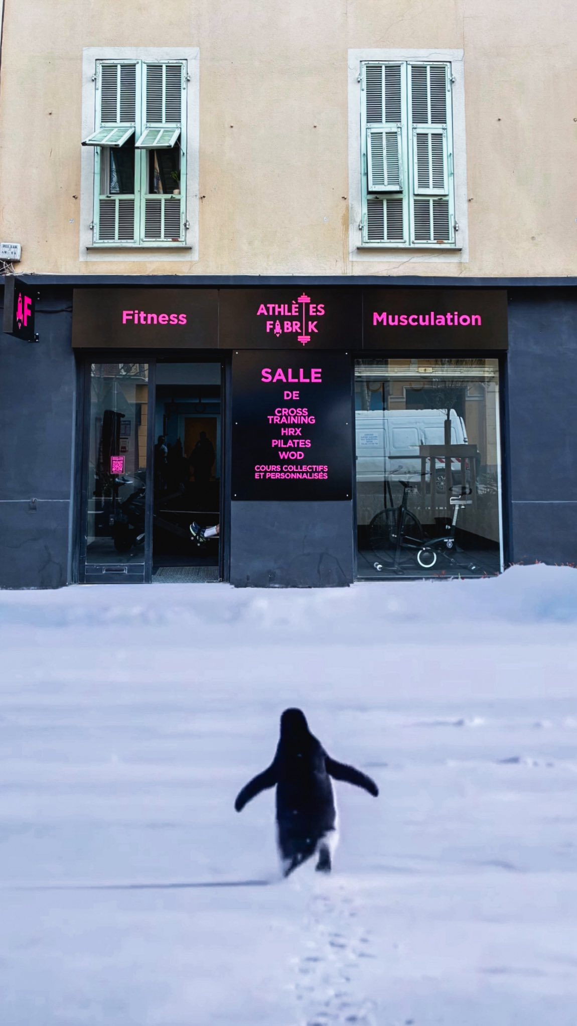 🐧🏋🏻
#nihlistpenguin #penguin #pinguoin #athlètesfabrik #nicecotedazur