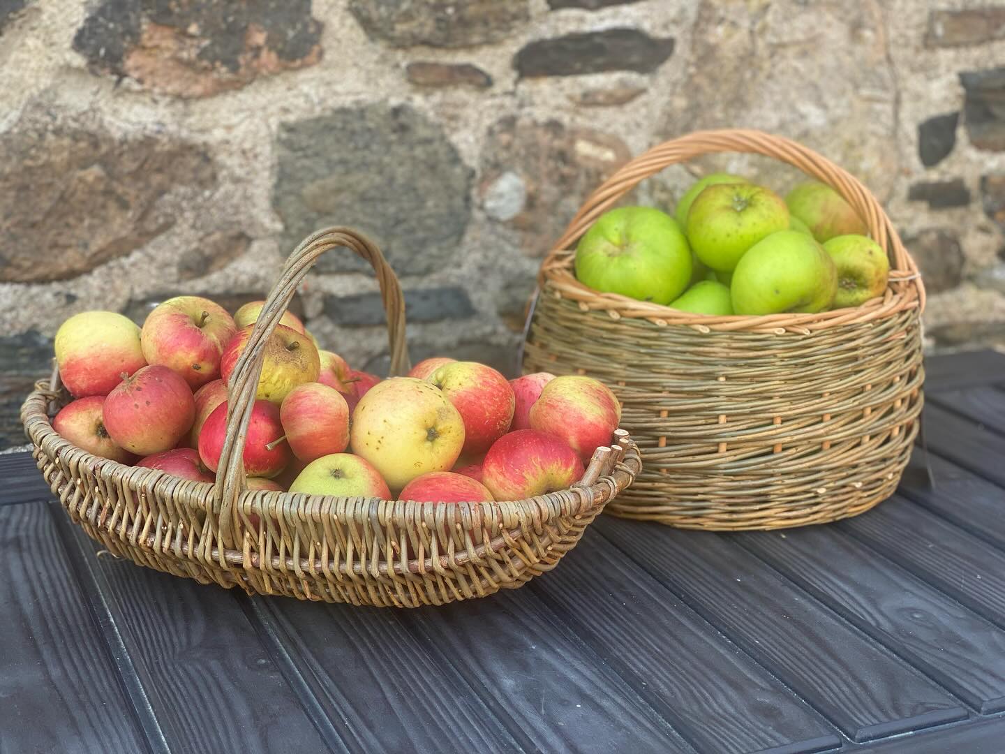 Pick your own!!
Anyone local to Totnes wanting apples- cookers or eaters please get in touch we have way too many to manage!! 🍎