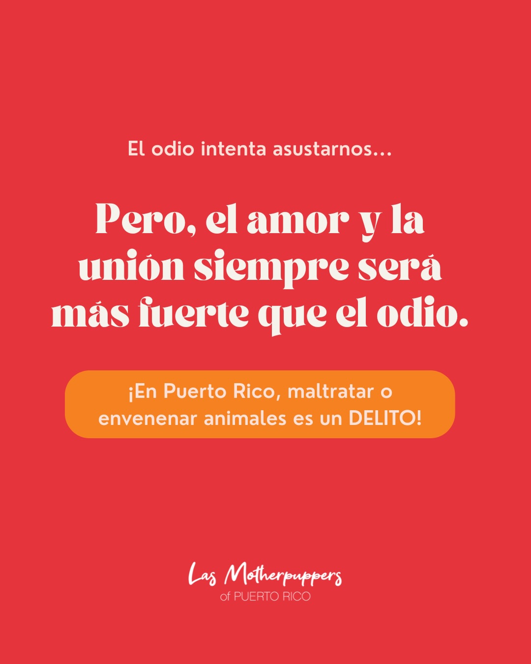 🚨ALERTA COMUNITARIA 🚨 Como dog mom, esto me duele profundamente.
Nuestros perros no entienden de odio.
Ellos solo entienden amor, lealtad y compañía.
En las últimas horas han circulado mensajes y reportes preocupantes en el área de Condado sobre posibles casos de envenenamiento. Más allá del miedo, lo que necesitamos ahora es comunidad, información y prevención.
‼️Recordatorio importante:
En Puerto Rico, envenenar o maltratar animales es un DELITO.
Si caminas por Condado, Ocean Park, Calle Taft o áreas cercanas:
• No dejes que tu perro consuma nada del suelo.
• Mantén supervisión constante.
• Reporta cualquier actividad sospechosa.
El odio hace ruido.
Pero el amor protege.
Como comunidad de pet parents, nos cuidamos entre nosotros. Y cuidamos a nuestros perros.
Compartan este mensaje para que más personas estén alertas. 🧡🐾
#DogMomsOfPR #LasMotherpuppers #AlertaComunitaria #ProtegeATuPerro #puertorico