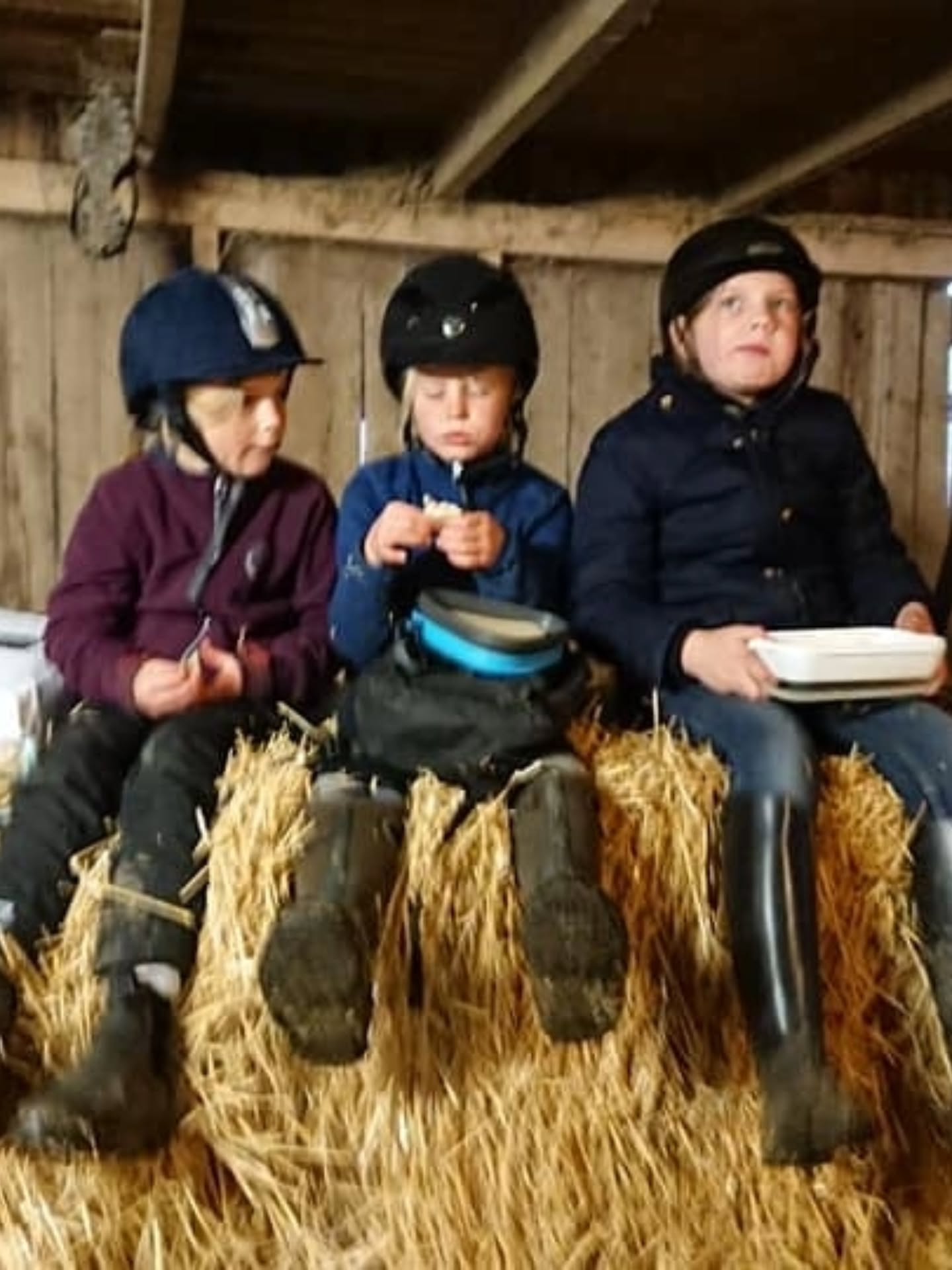 ❄️Dagridläger för barn på sportlovet
17 februari, kl 09.00-15.00
18 februari kl 09.00-15.00
Detta läger riktar sig till barn och ungdom som ridit minst 1 termin på ridskola, eller har motsvarande kunskap, och som minst kan rida och kontrollera din häst utan ledare i skritt och trav på ridbanan men som kanske behöver ledare på uteritt.
Lägret är också lämpligt för elever som ridit i många år i alla gångarter, vi har möjlighet att dela upp ryttarna i mindre grupper om det är olika nivåer på ryttarna.
Under dagen ägnar vi oss åt grupplektion på ridbanan, hästpyssel, en härlig uteritt, stallskötsel, teori och mycket annat kul.
🍽Egen matsäck och mellis medtages, kylskåp och micro finns. Vi bjuder på frukt och saft.
Har man ingen skjuts hem direkt vid 15 går det bra att hänga kvar hos oss och vänta tills föräldern slutat jobbet. Likaså går det bra att bli lämnad tidigare på morgonen om det behövs.
💰 Pris: 650kr/dag
Varmt välkommen till en härligt, hästig dag hoss oss på Ängvaktartorp!
❄️🐴🌞